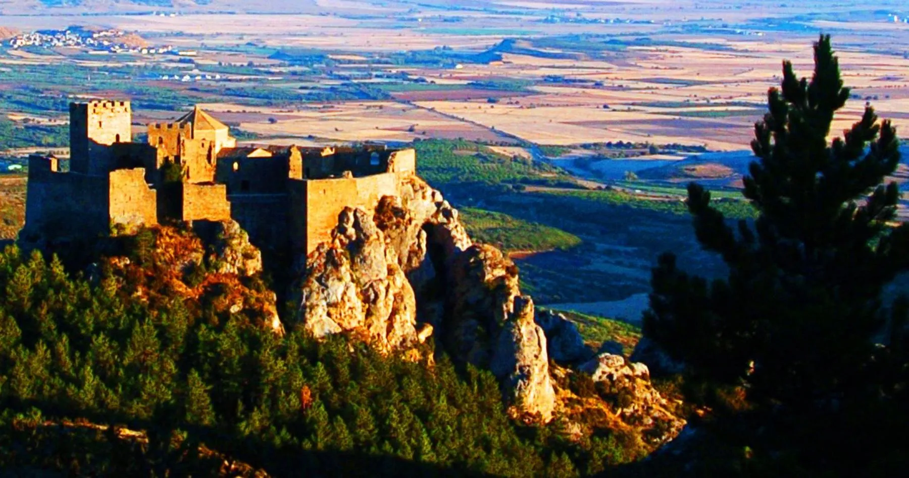 Area and facilities in El Corral De Concilio