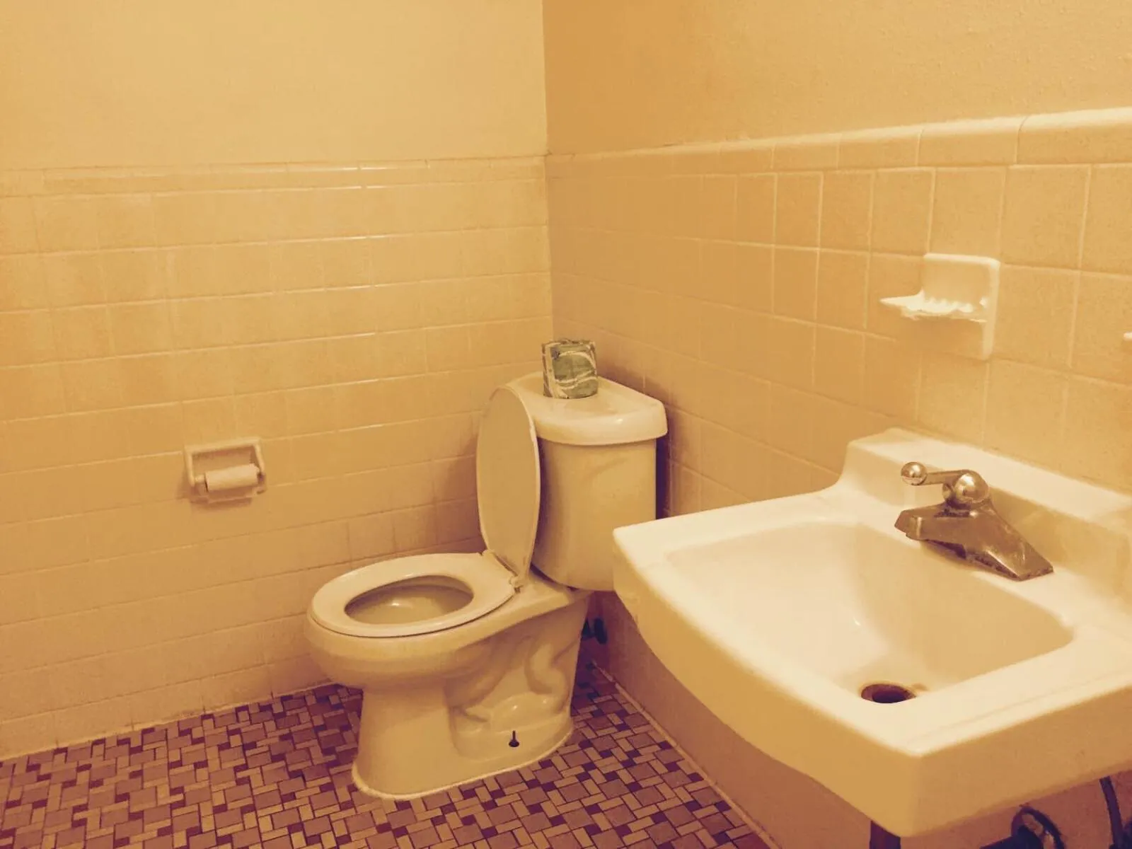 Toilet in Ross Motel