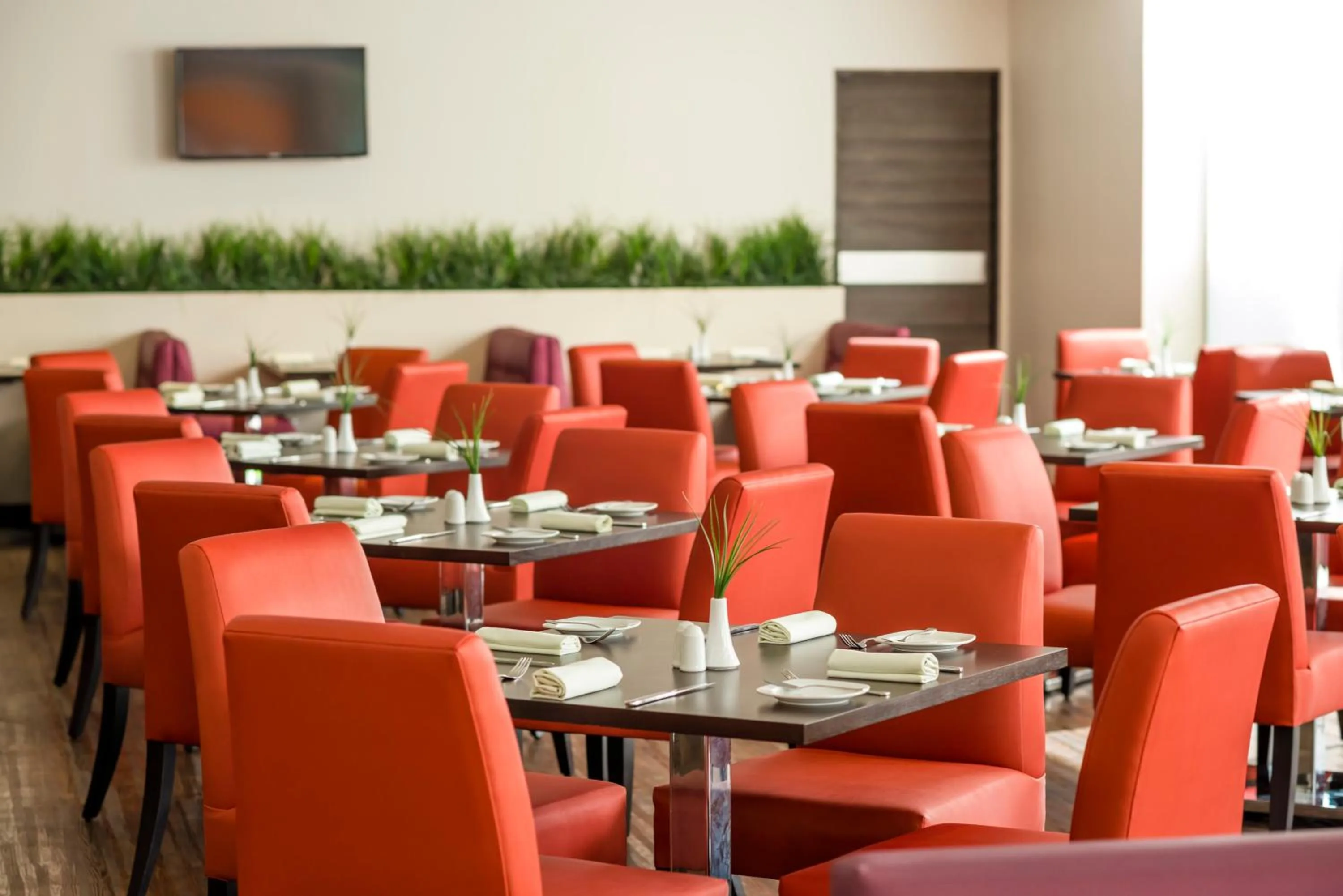 Restaurant/places to eat in Real Inn Perinorte