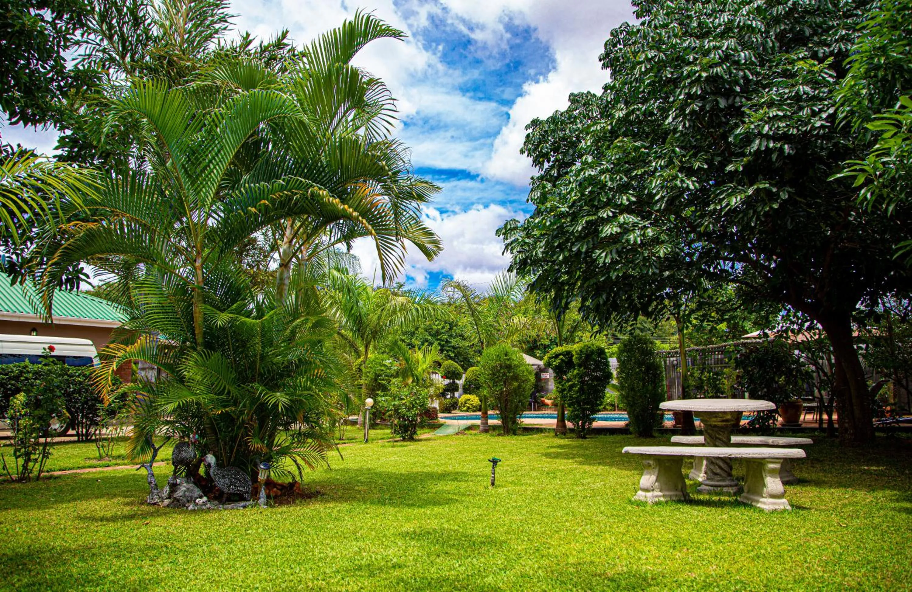 Garden in Dzimbahwe Guest Lodge