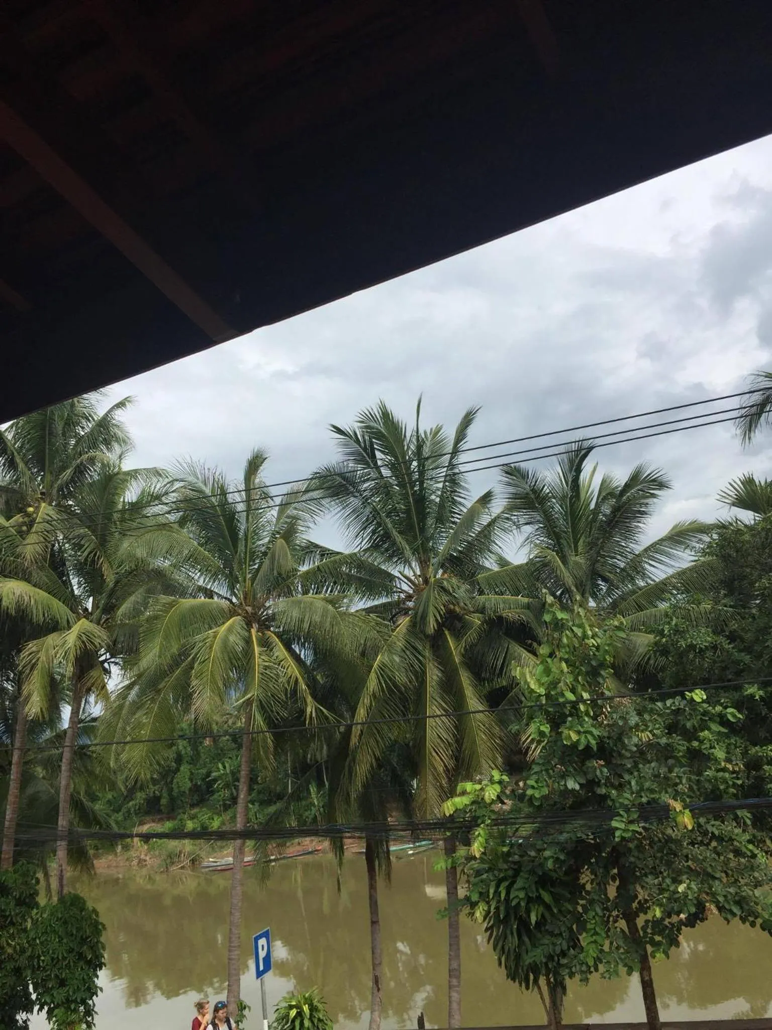 Golden Lotus Namkhan View