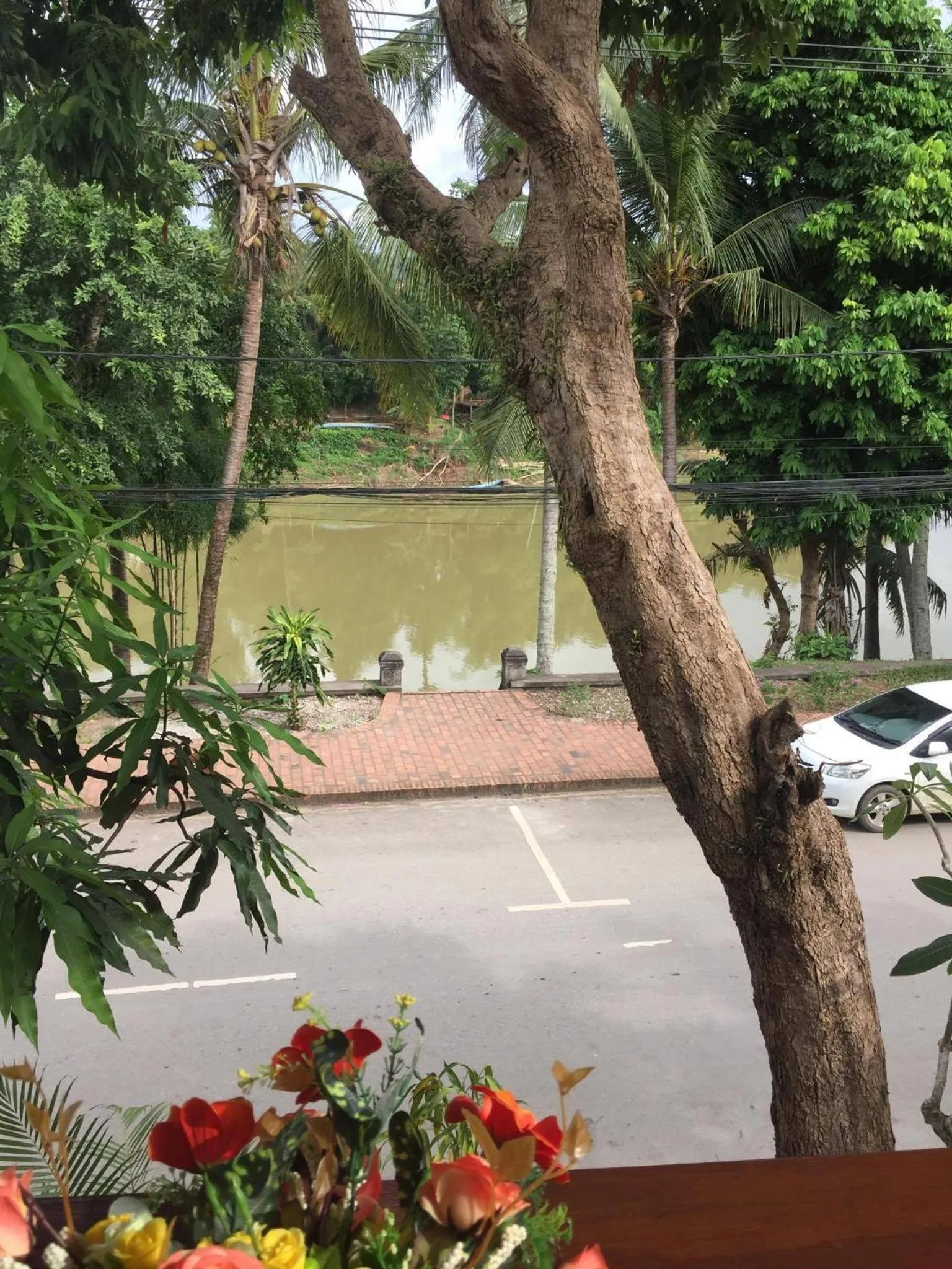 Golden Lotus Namkhan View