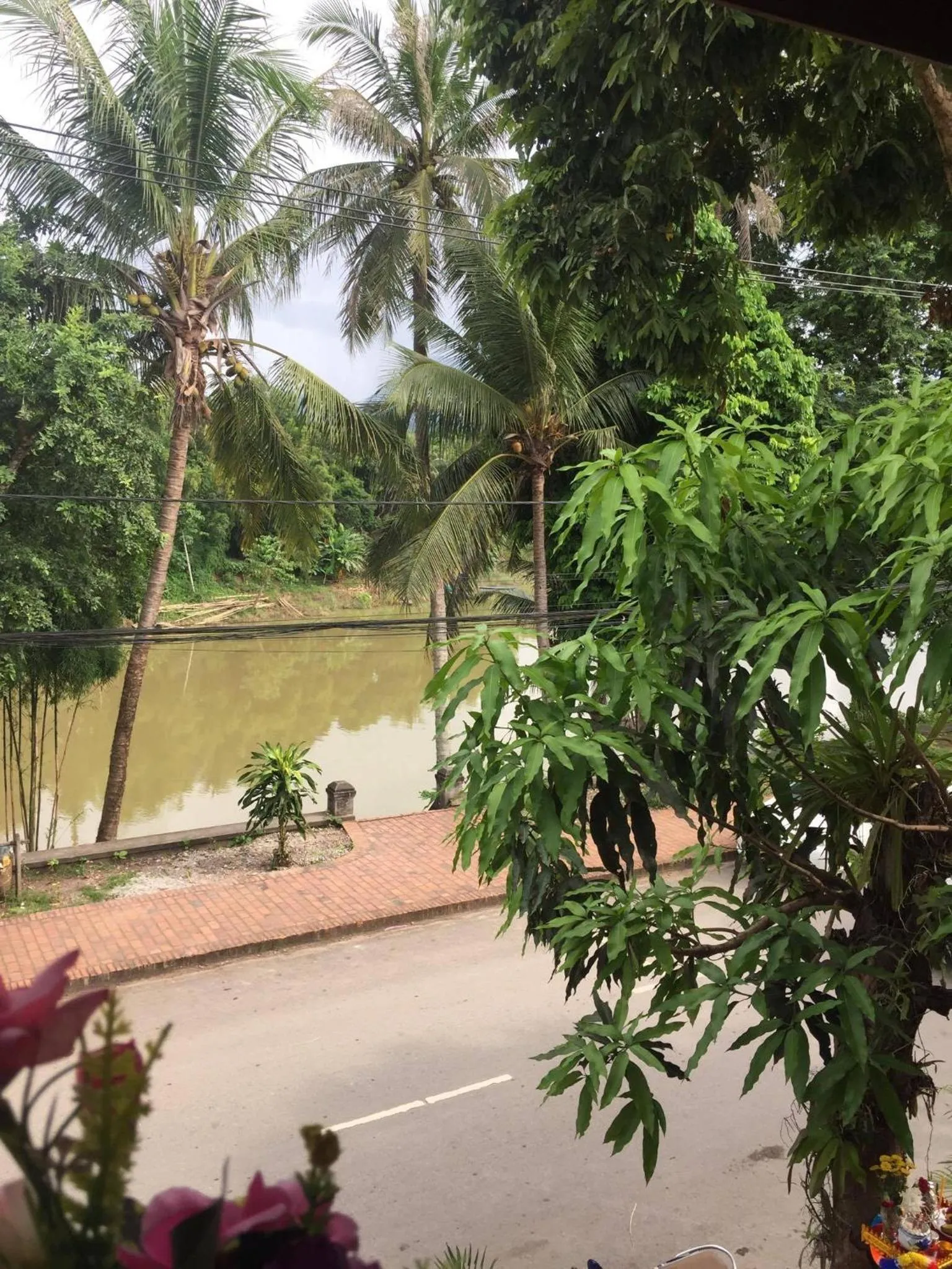 Golden Lotus Namkhan View