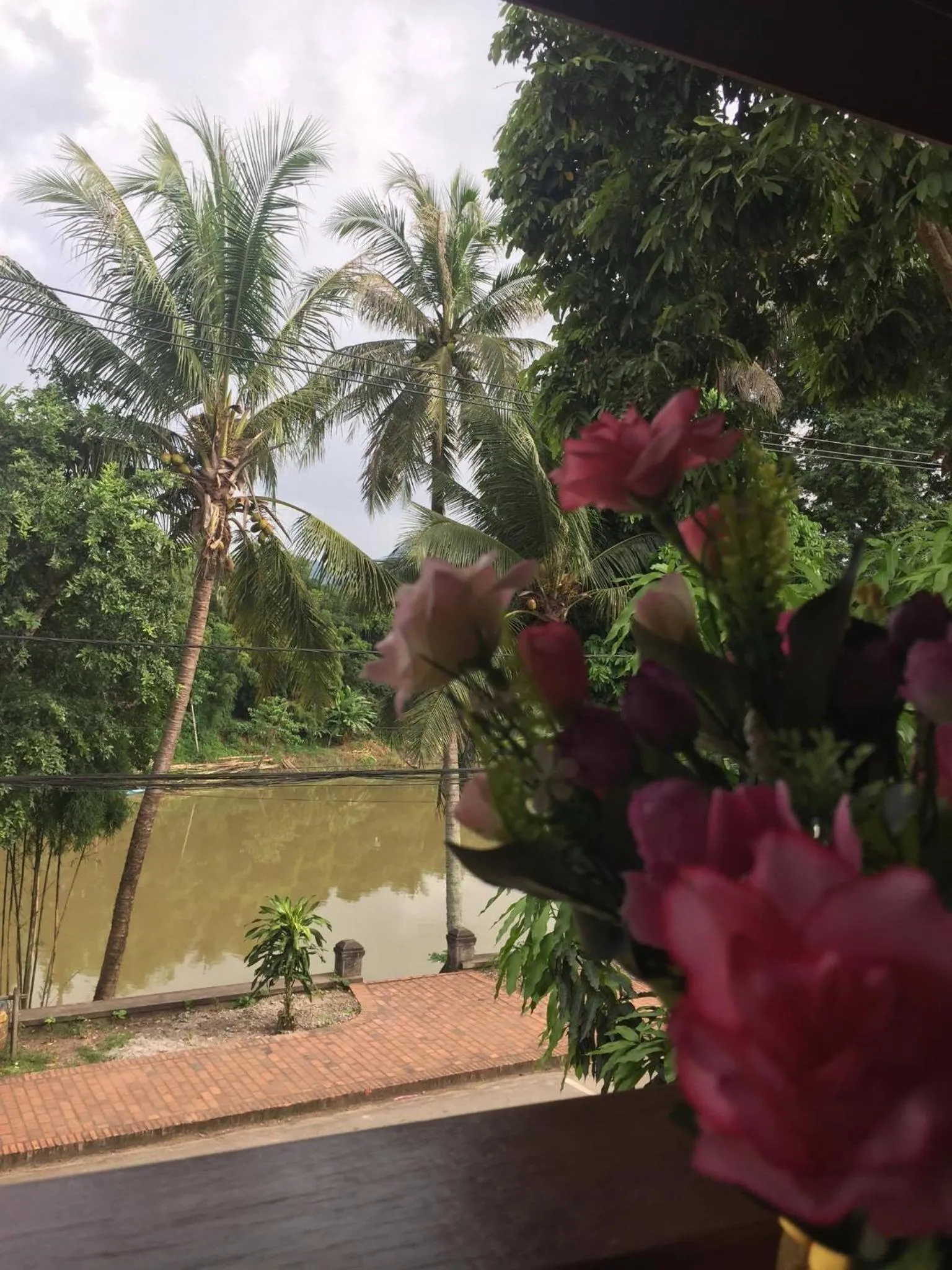 Golden Lotus Namkhan View