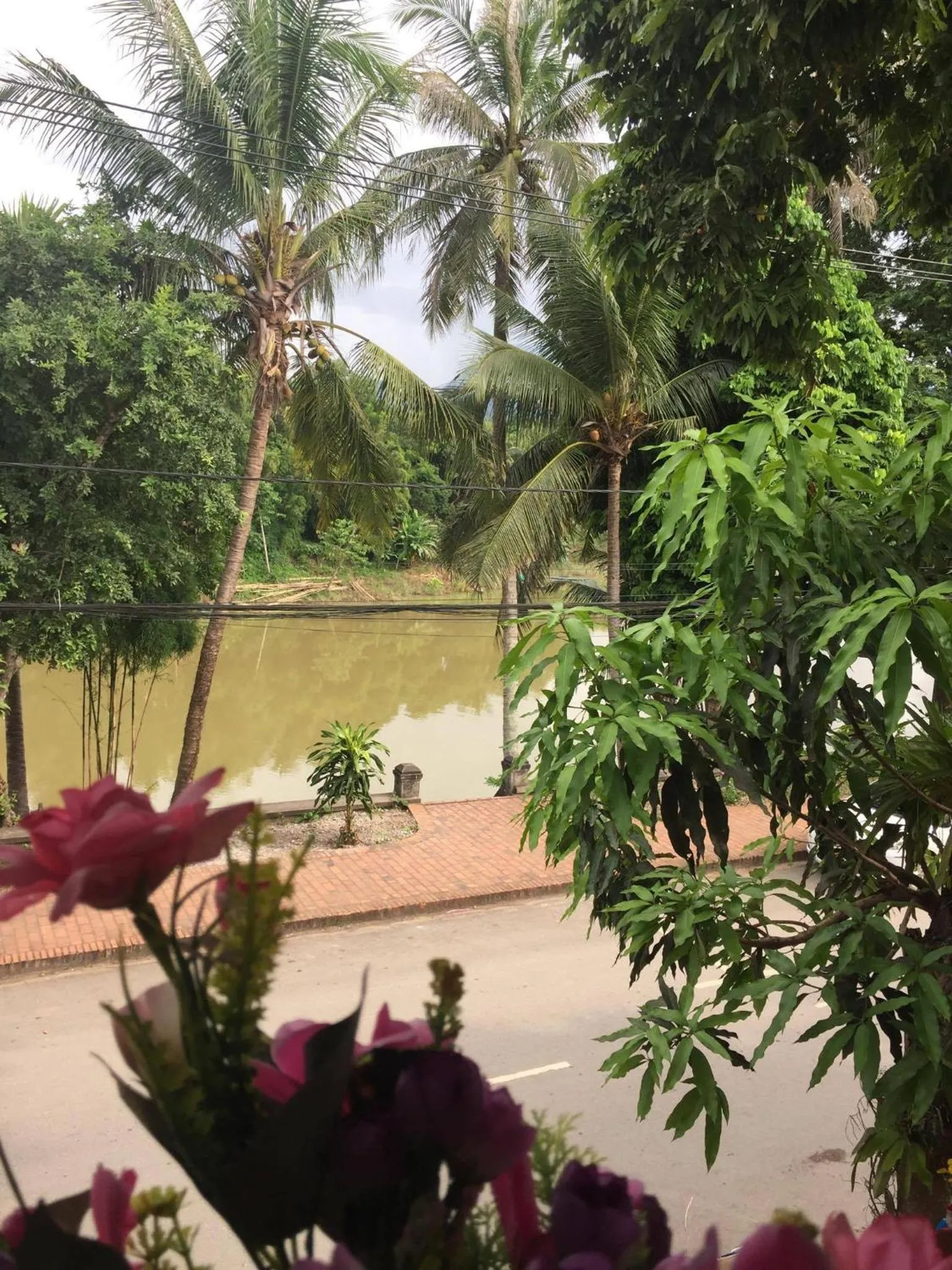 Golden Lotus Namkhan View