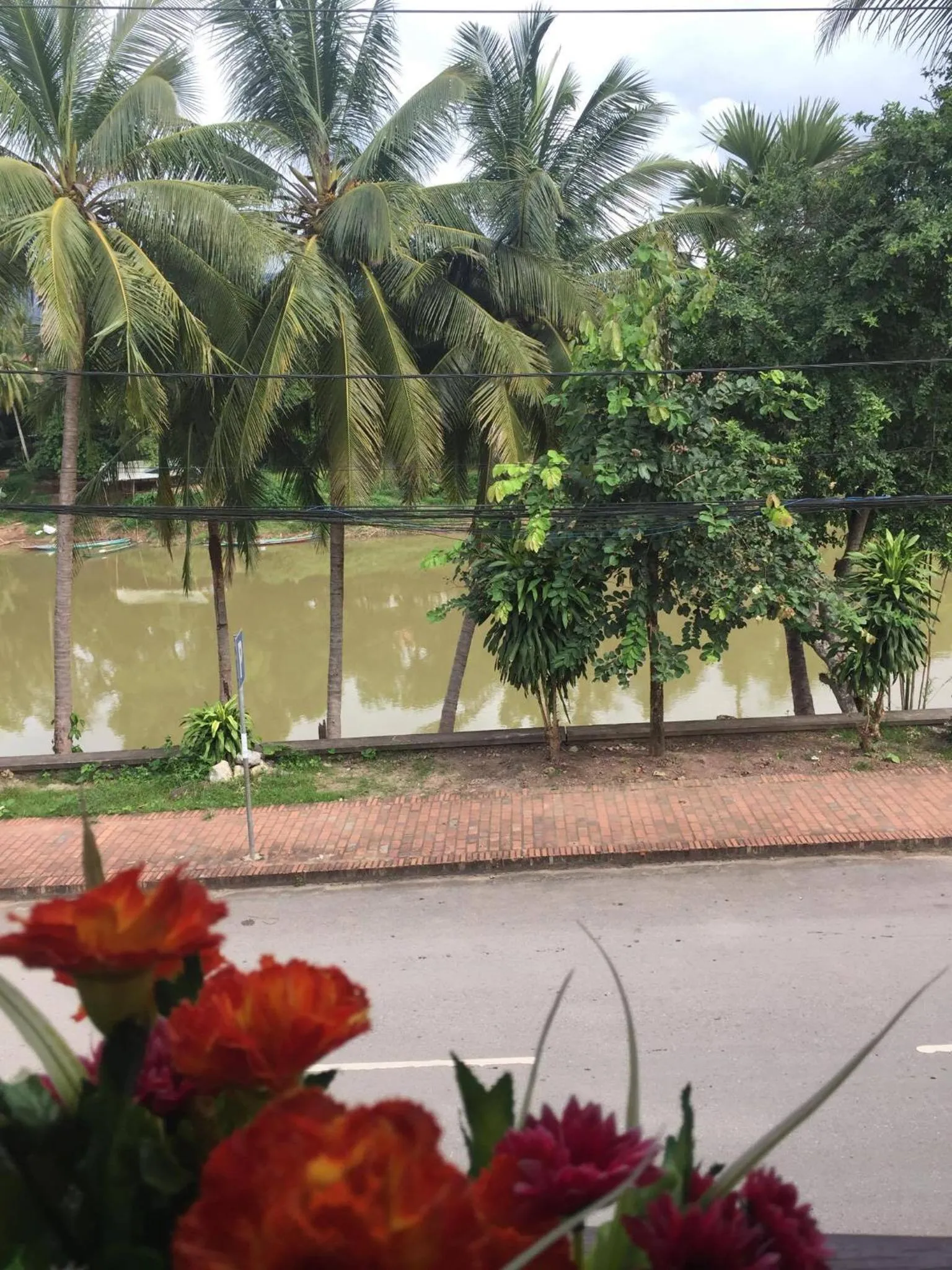 Golden Lotus Namkhan View