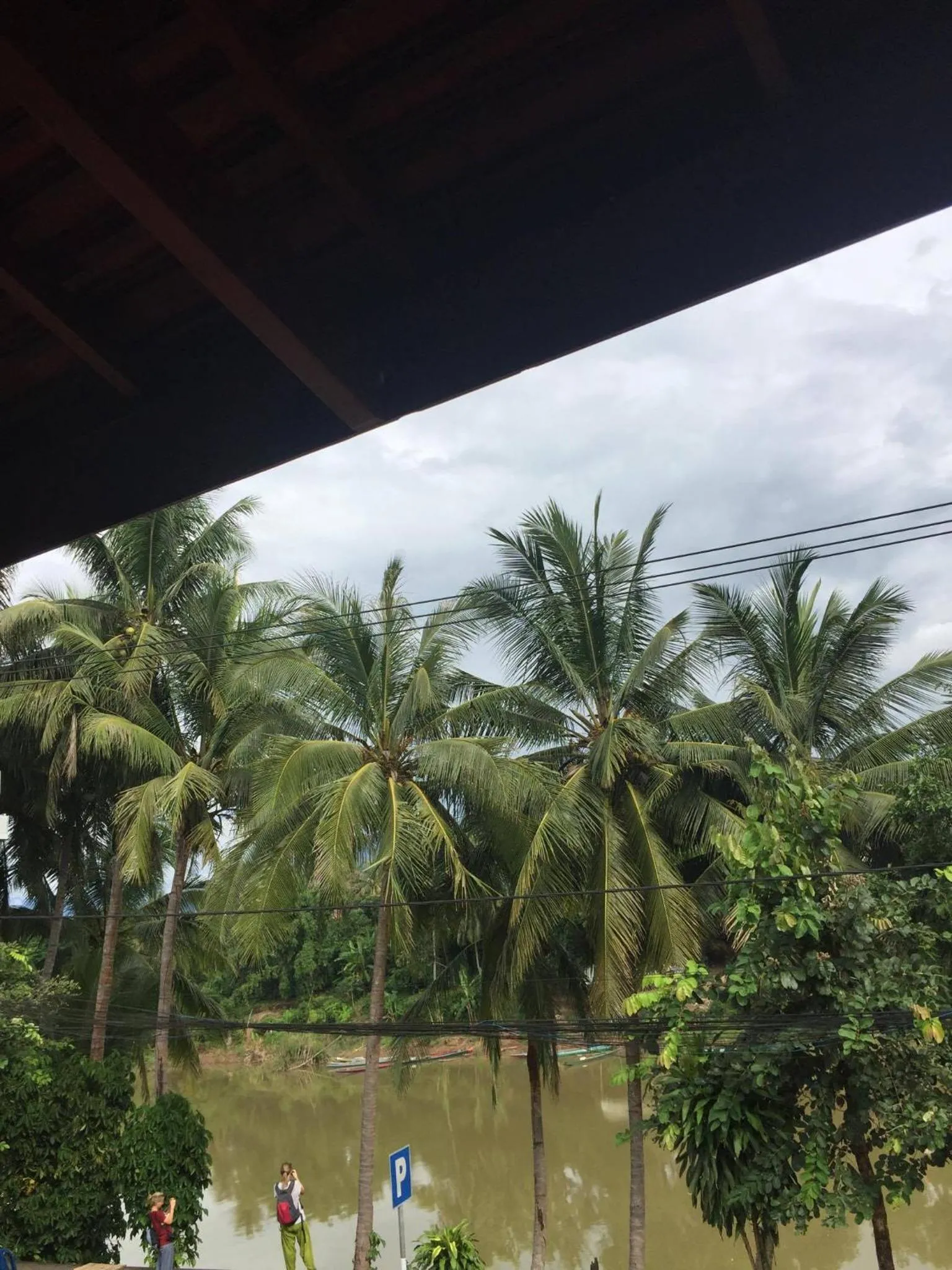 Golden Lotus Namkhan View