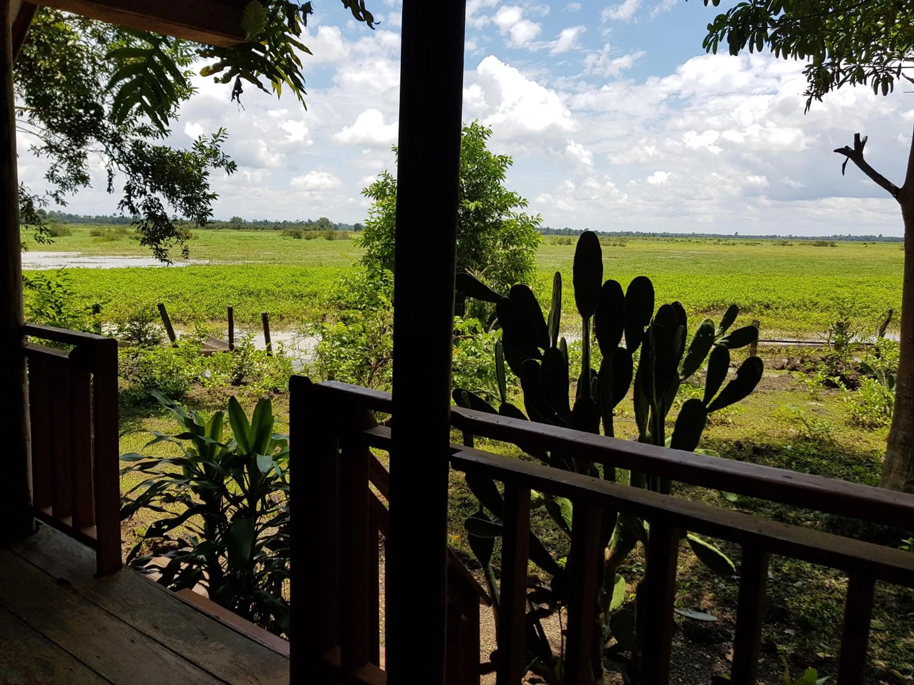 Balcony/Terrace in Kingfisher Ecolodge