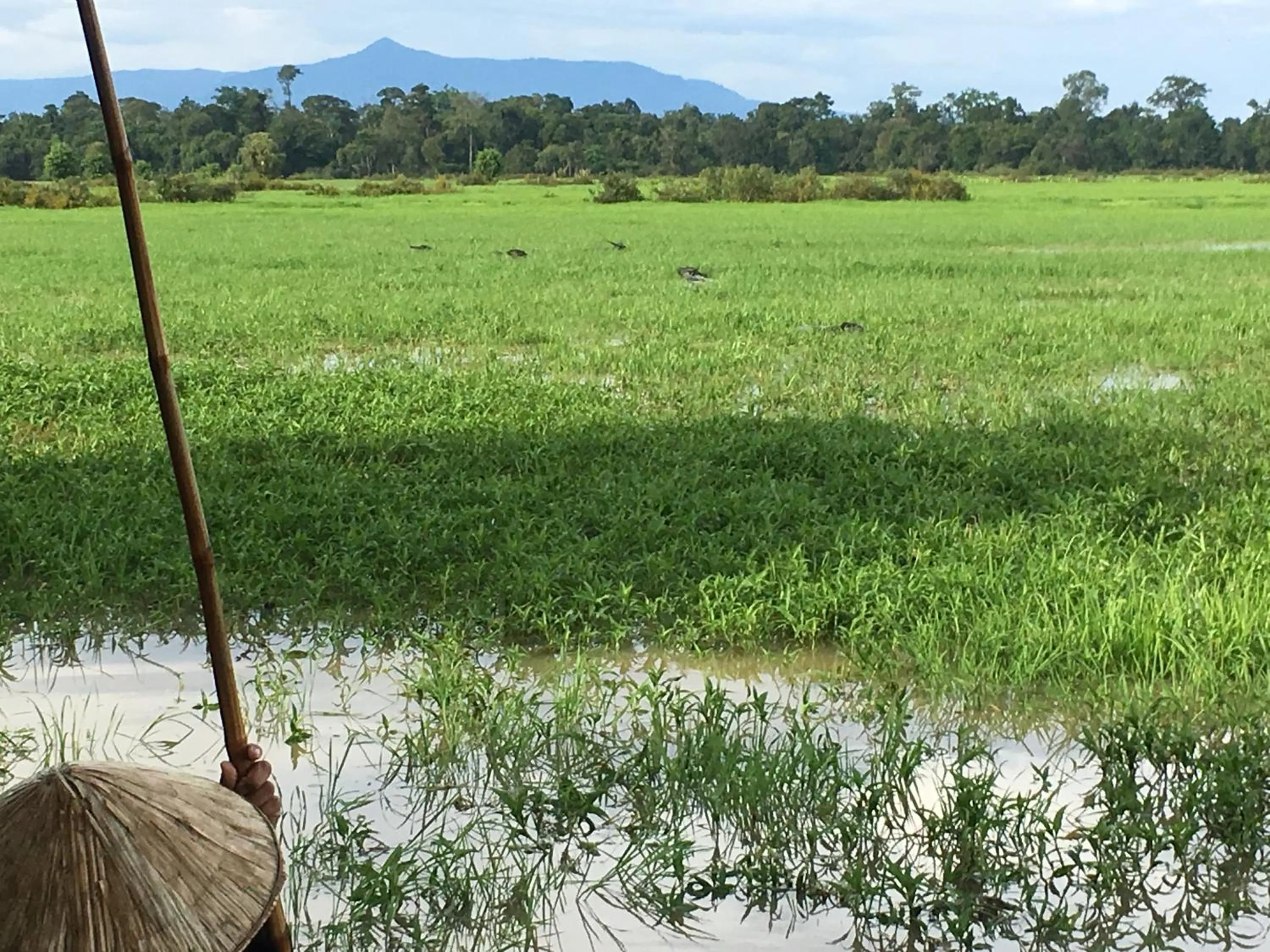 People in Kingfisher Ecolodge