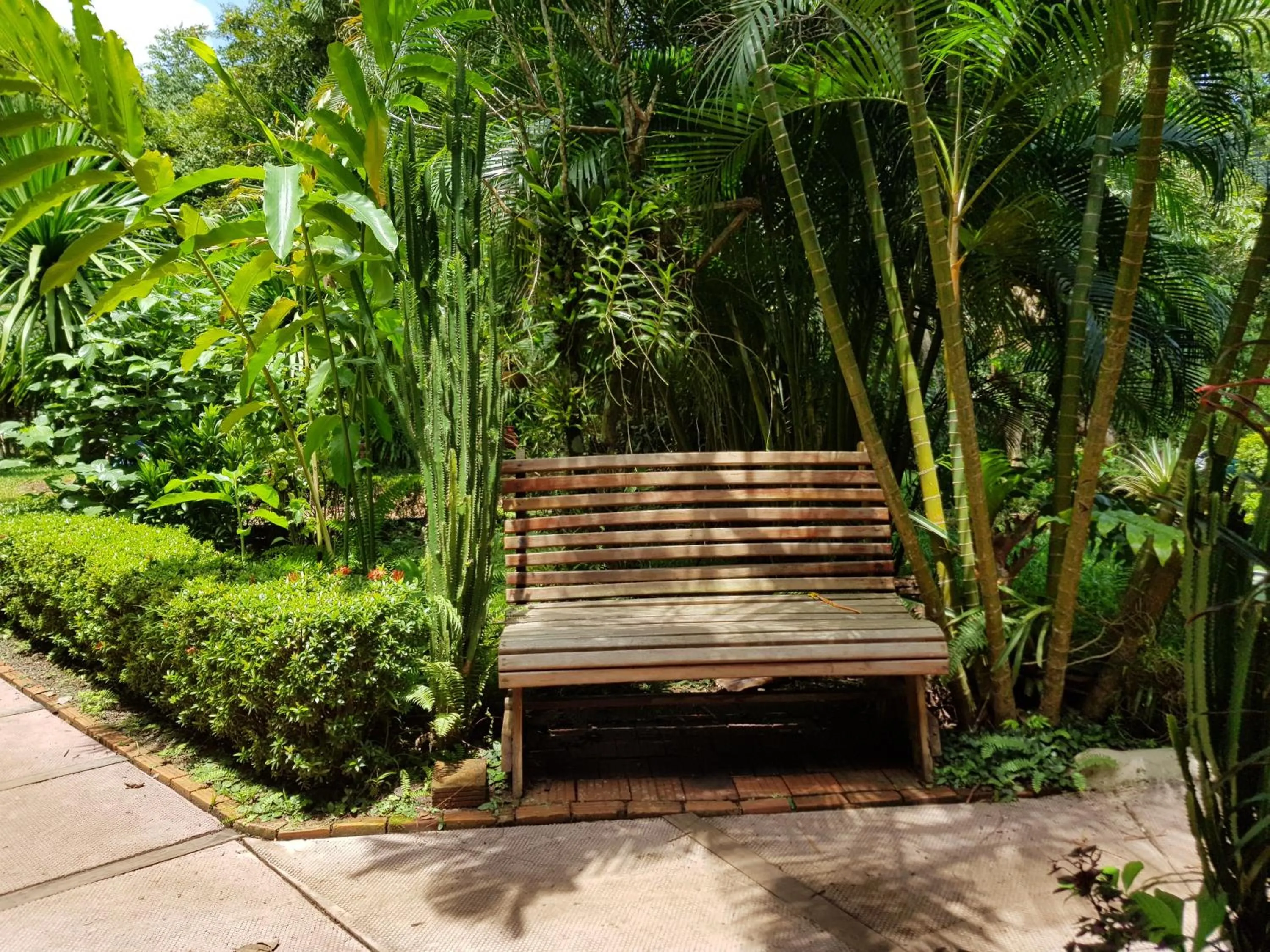 Garden in Kingfisher Ecolodge