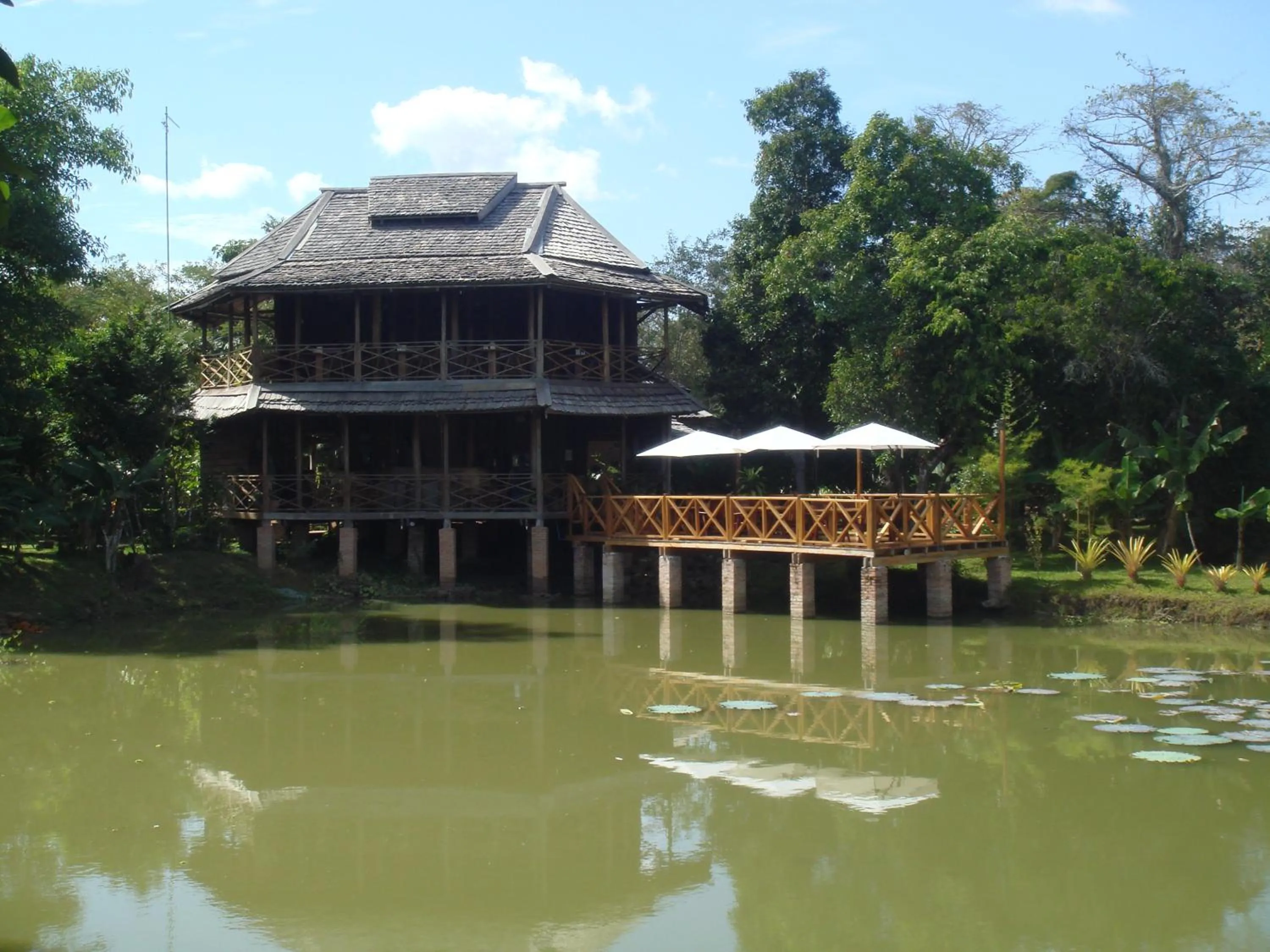 Restaurant/places to eat in Kingfisher Ecolodge