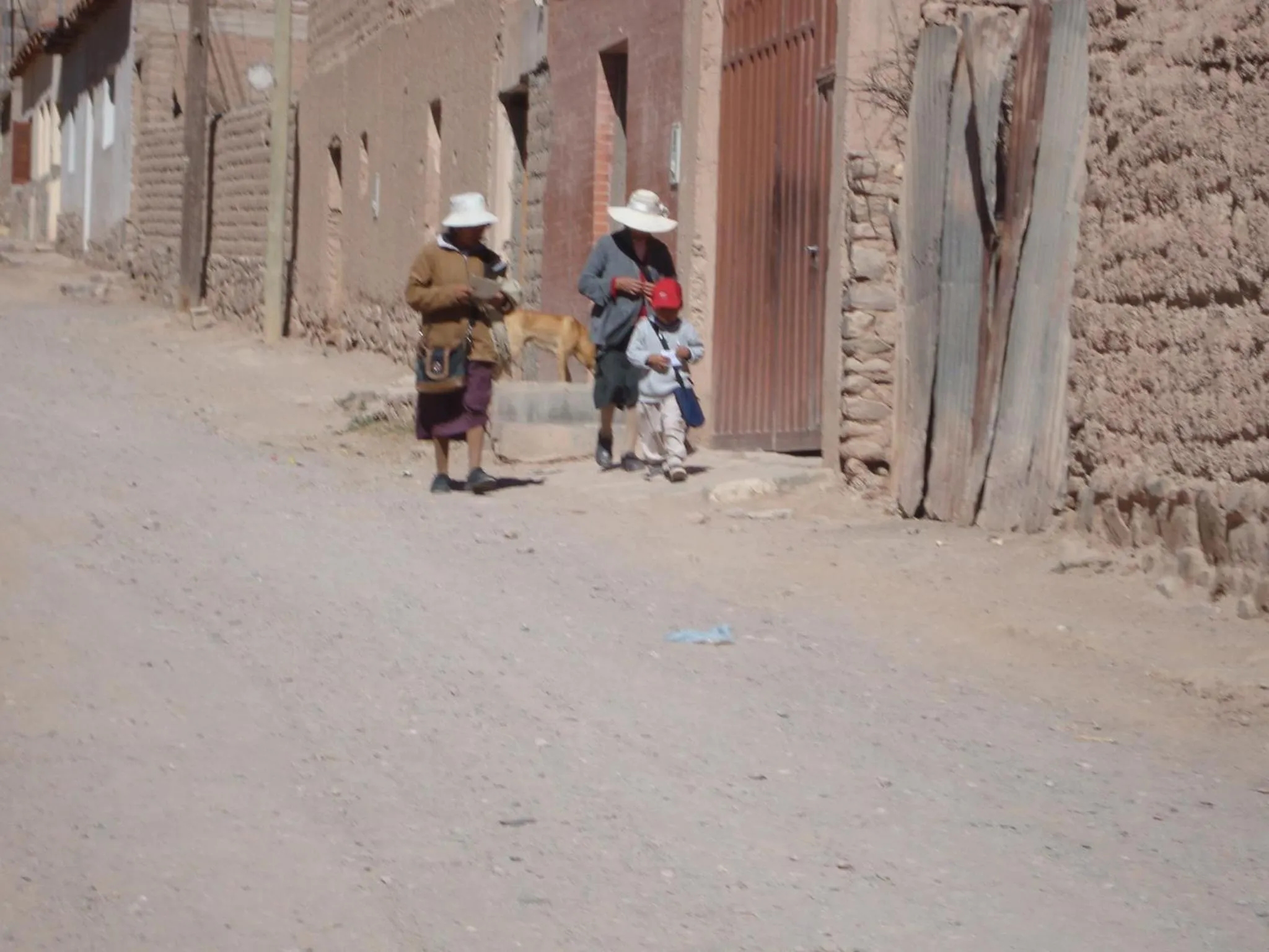 Area and facilities in Las Marías Hotel Boutique