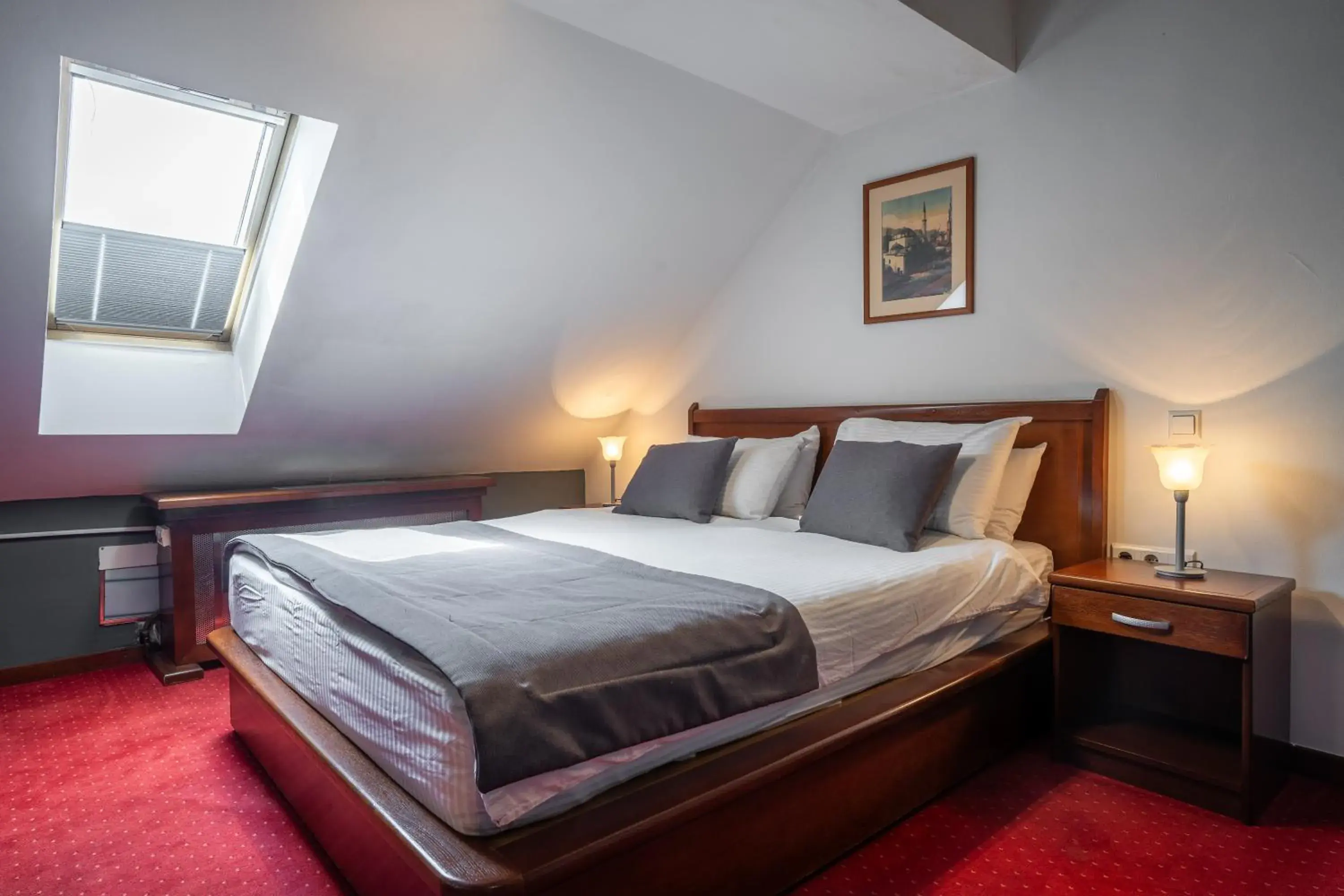 Standard Double Room - single occupancy in Hotel Astra Standard Double Room - single occupancy in Hotel Astra