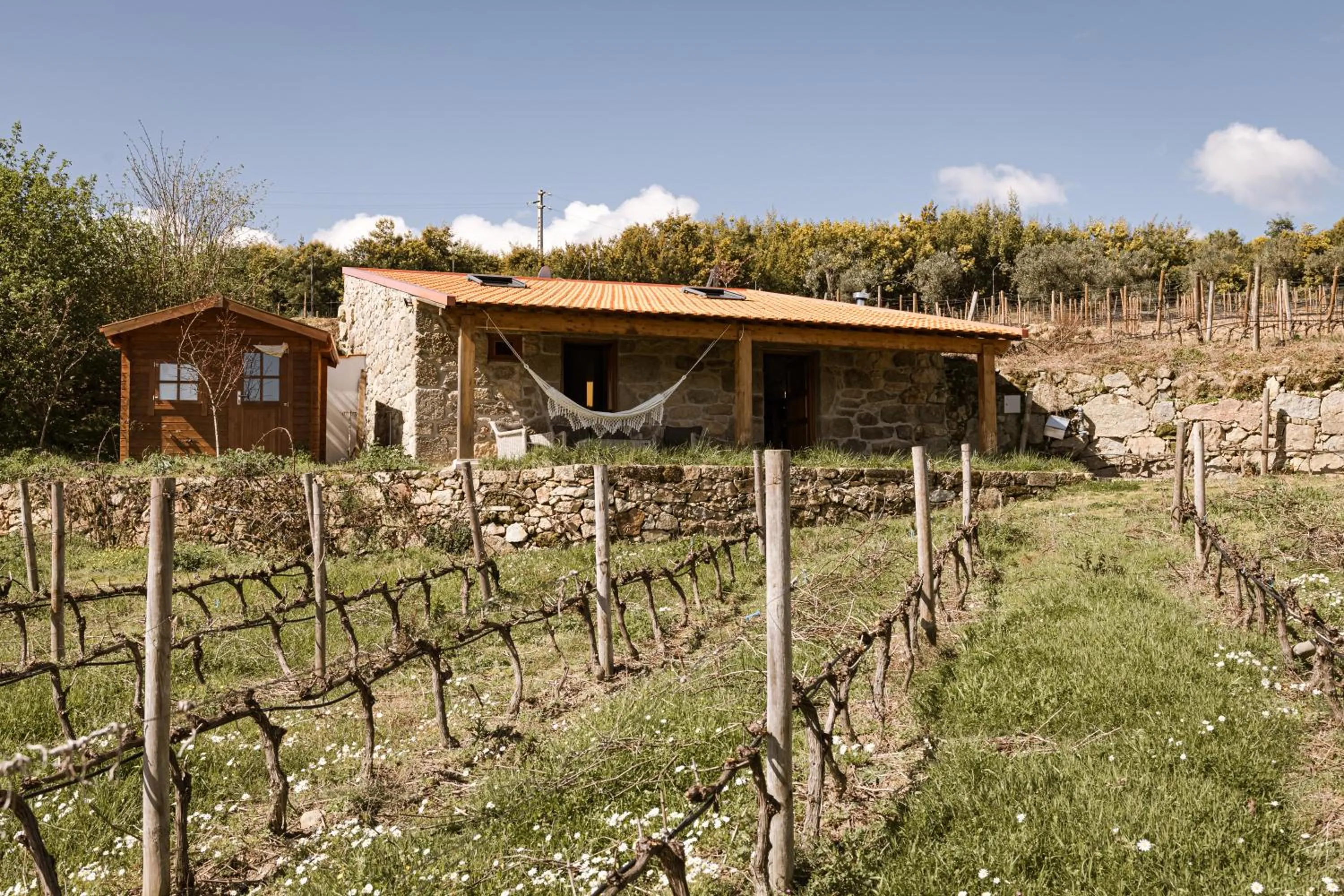 Quinta da Portela - Casa Visconde Arneiros - by RowdHouses