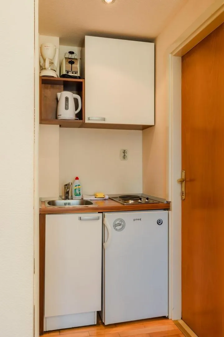 Kitchen or kitchenette in Apartel Park Osejava