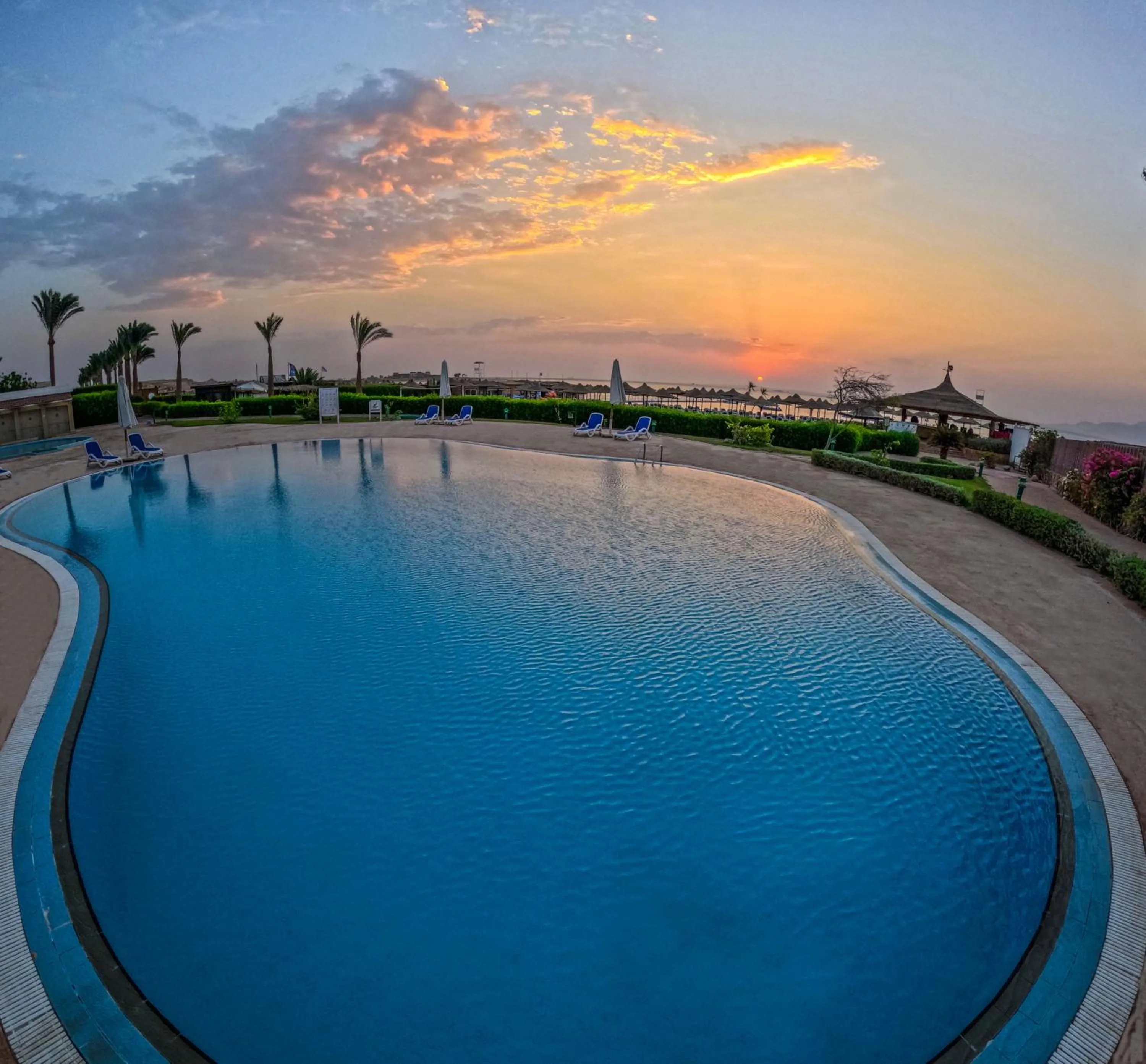 Pool view in Ivy Cyrene Sharm Resort Adults Friendly Plus 13