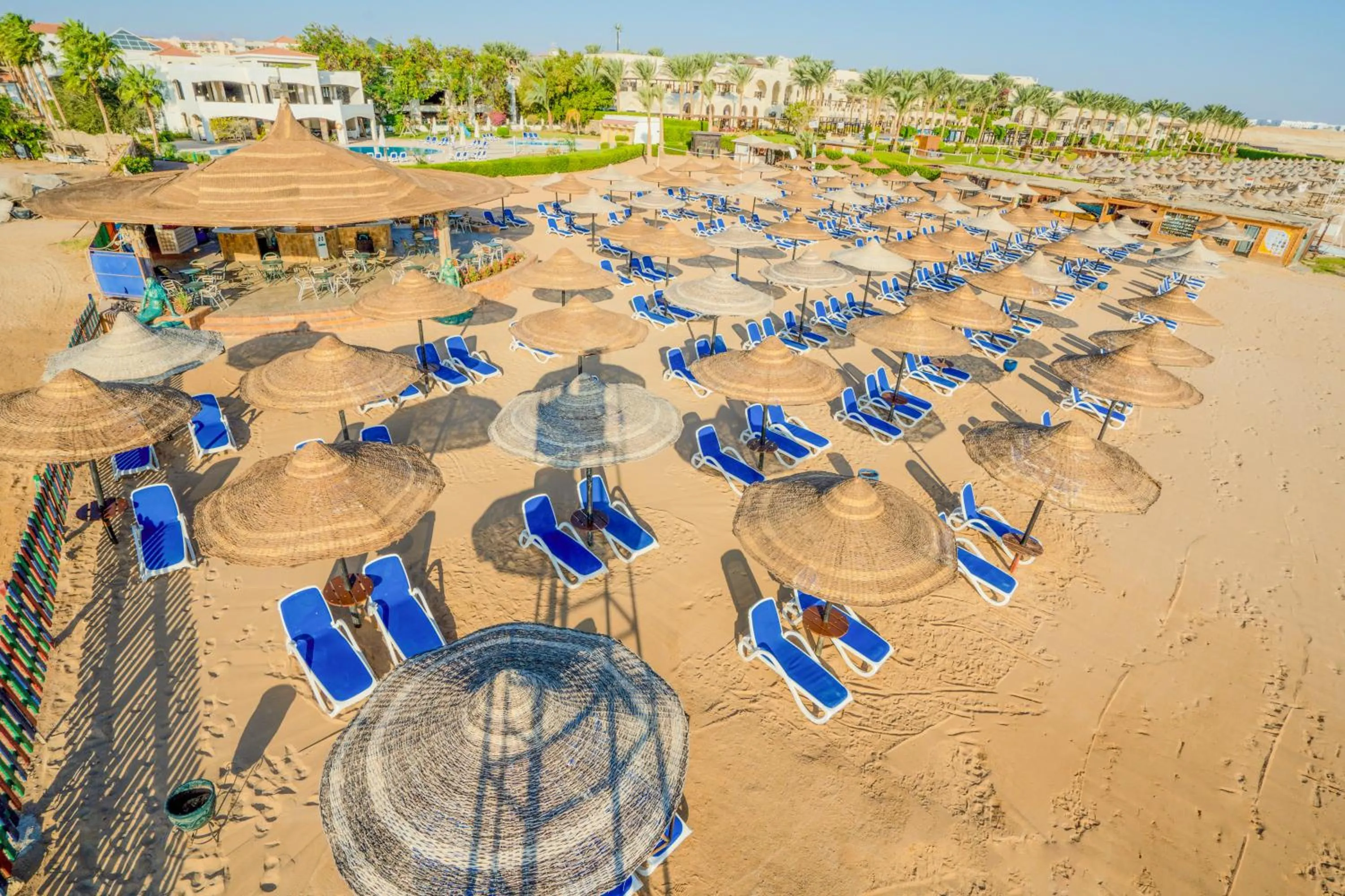 Beach in Ivy Cyrene Sharm Resort Adults Friendly Plus 13