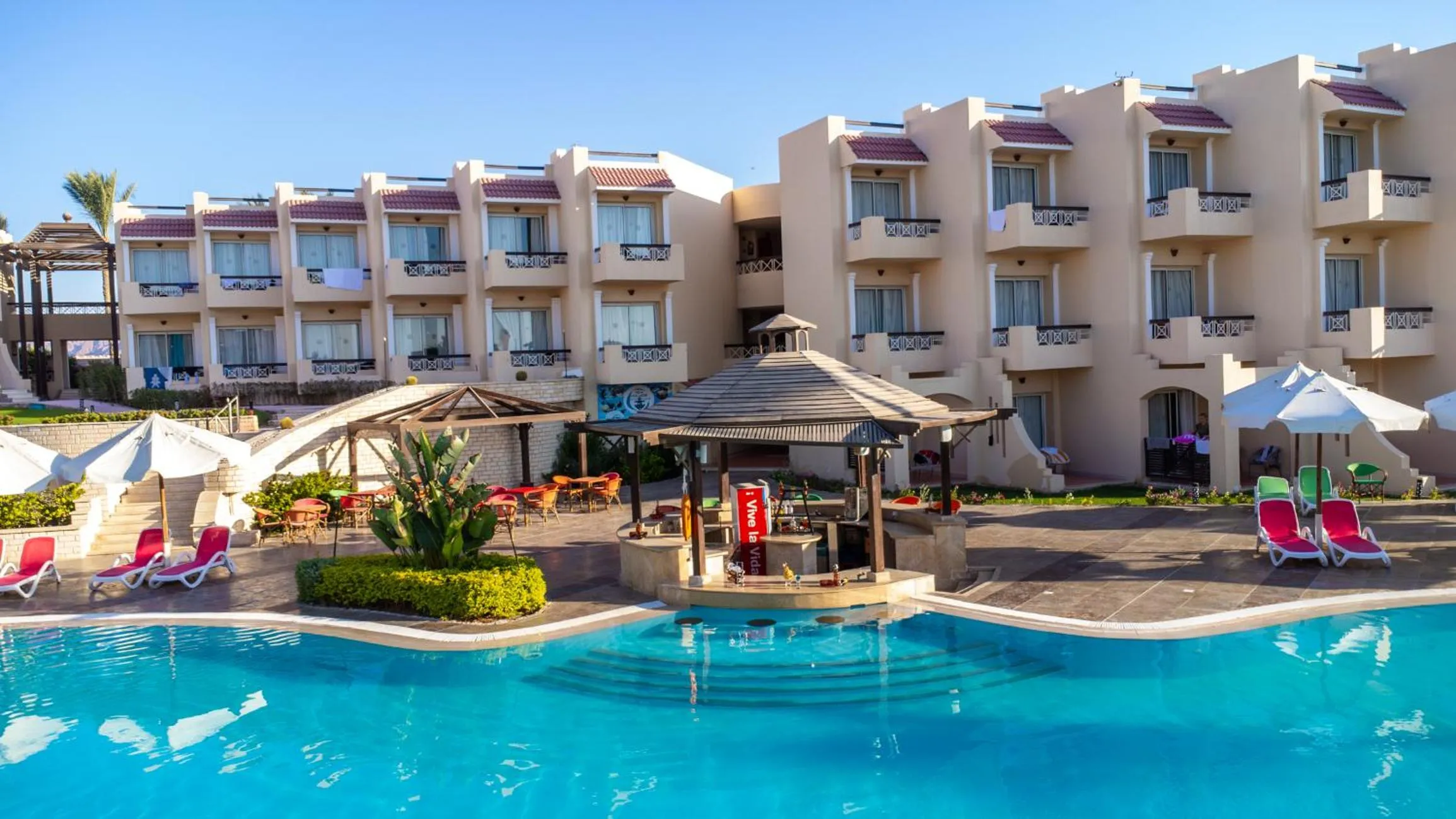 Swimming pool in Ivy Cyrene Sharm Resort Adults Friendly Plus 13