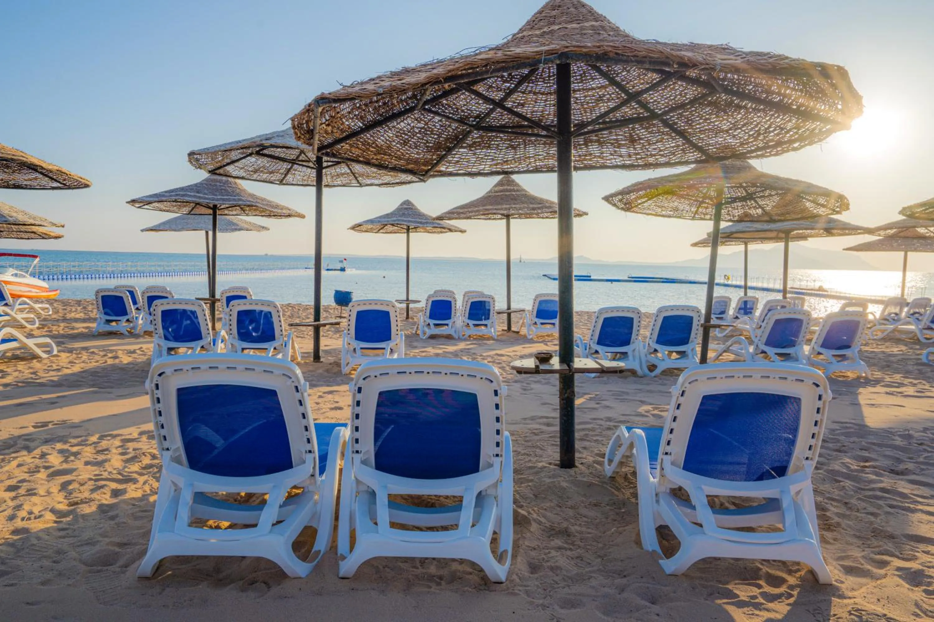 Beach in Ivy Cyrene Sharm Resort Adults Friendly Plus 13
