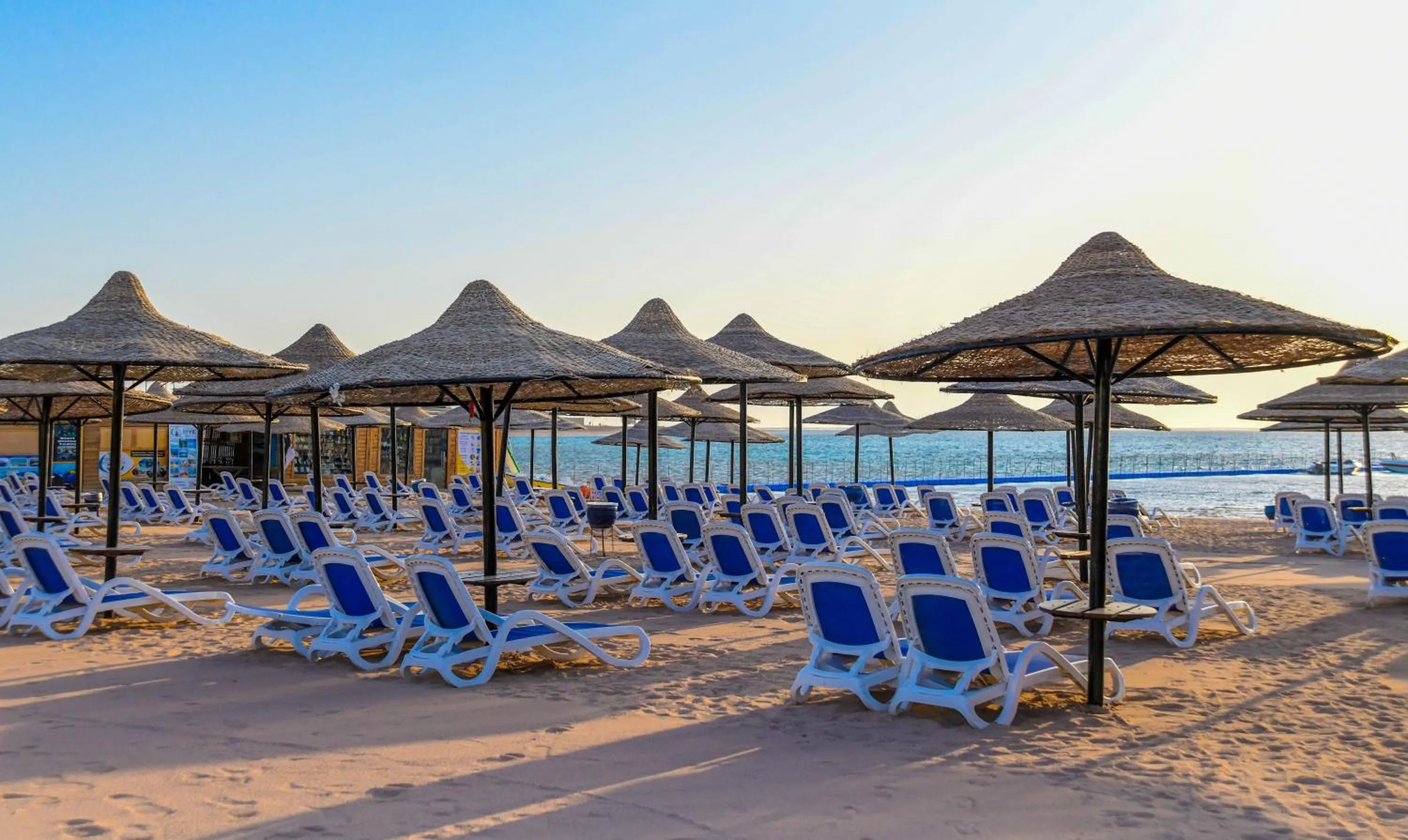 Beach in Ivy Cyrene Sharm Resort Adults Friendly Plus 13