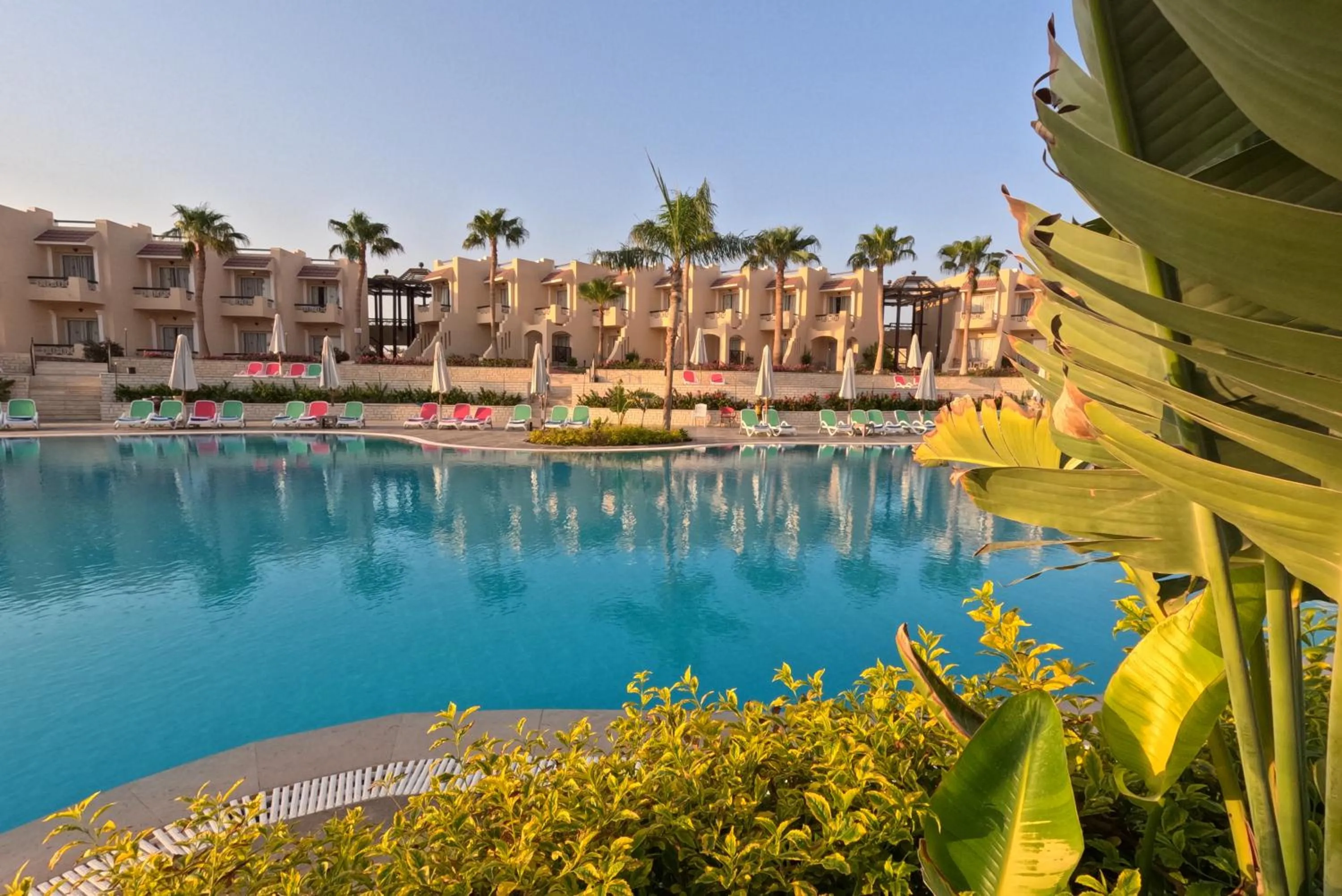 Swimming pool in Ivy Cyrene Sharm Resort Adults Friendly Plus 13