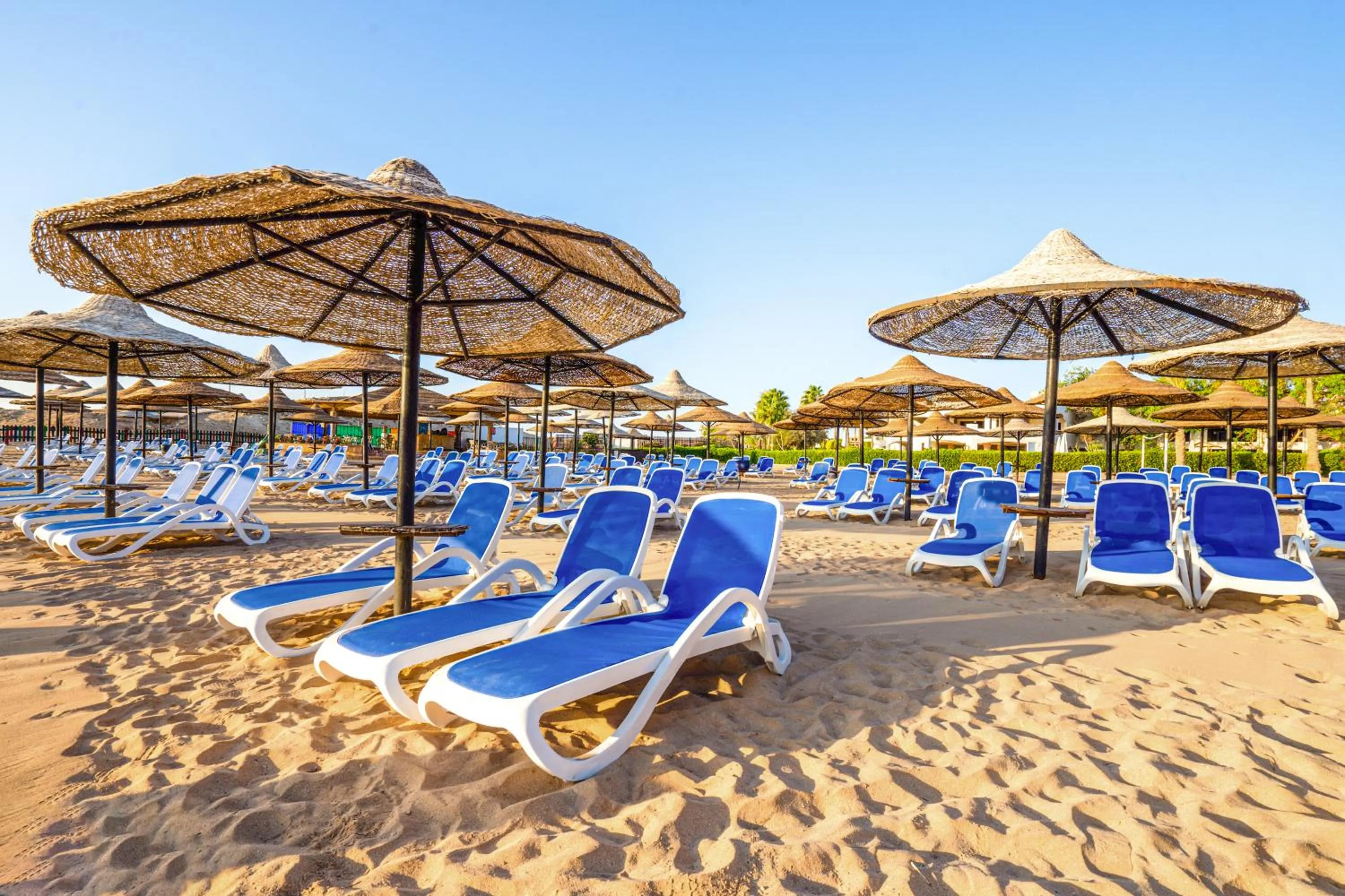 Beach in Ivy Cyrene Sharm Resort Adults Friendly Plus 13