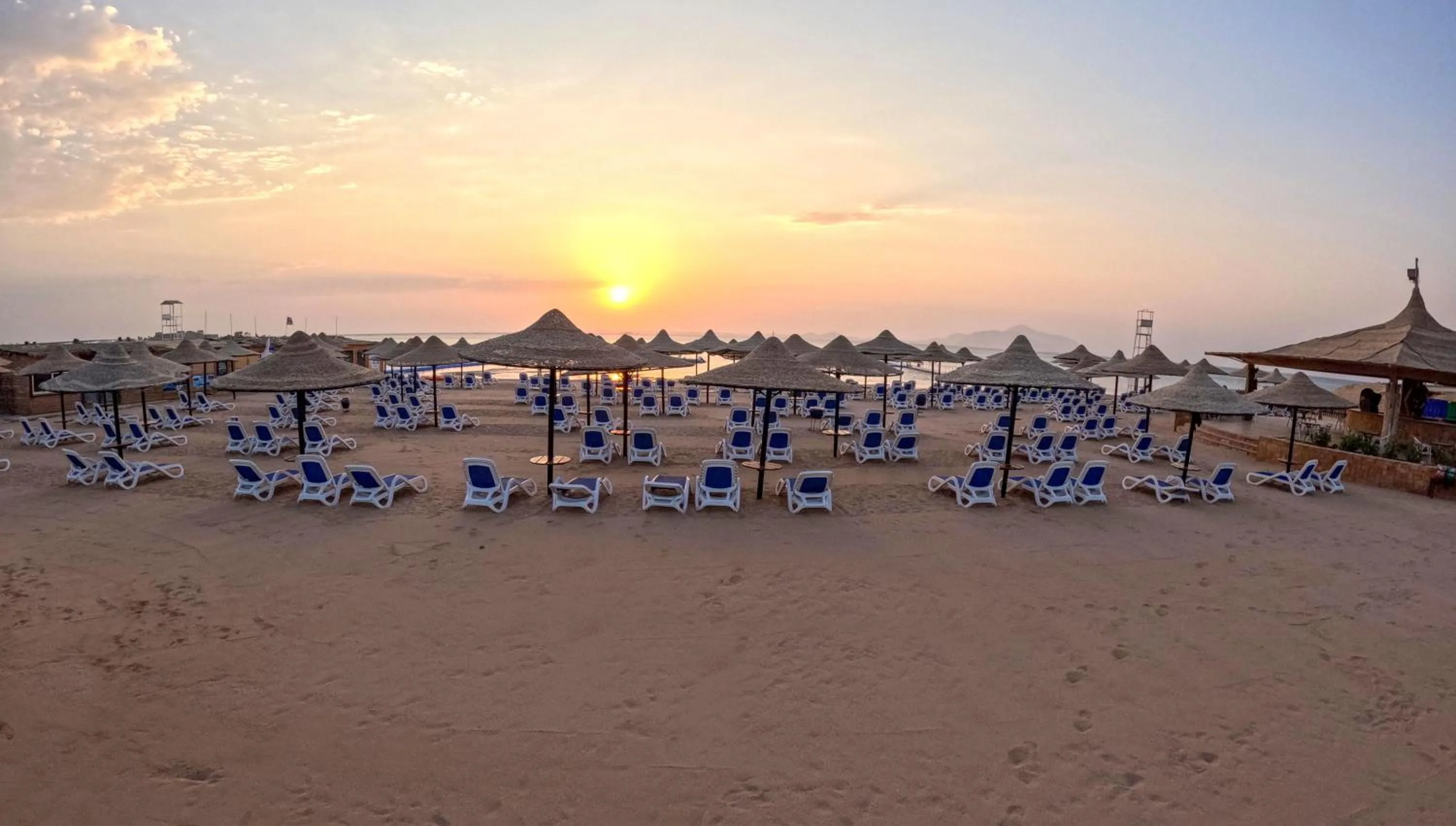 Beach in Ivy Cyrene Sharm Resort Adults Friendly Plus 13