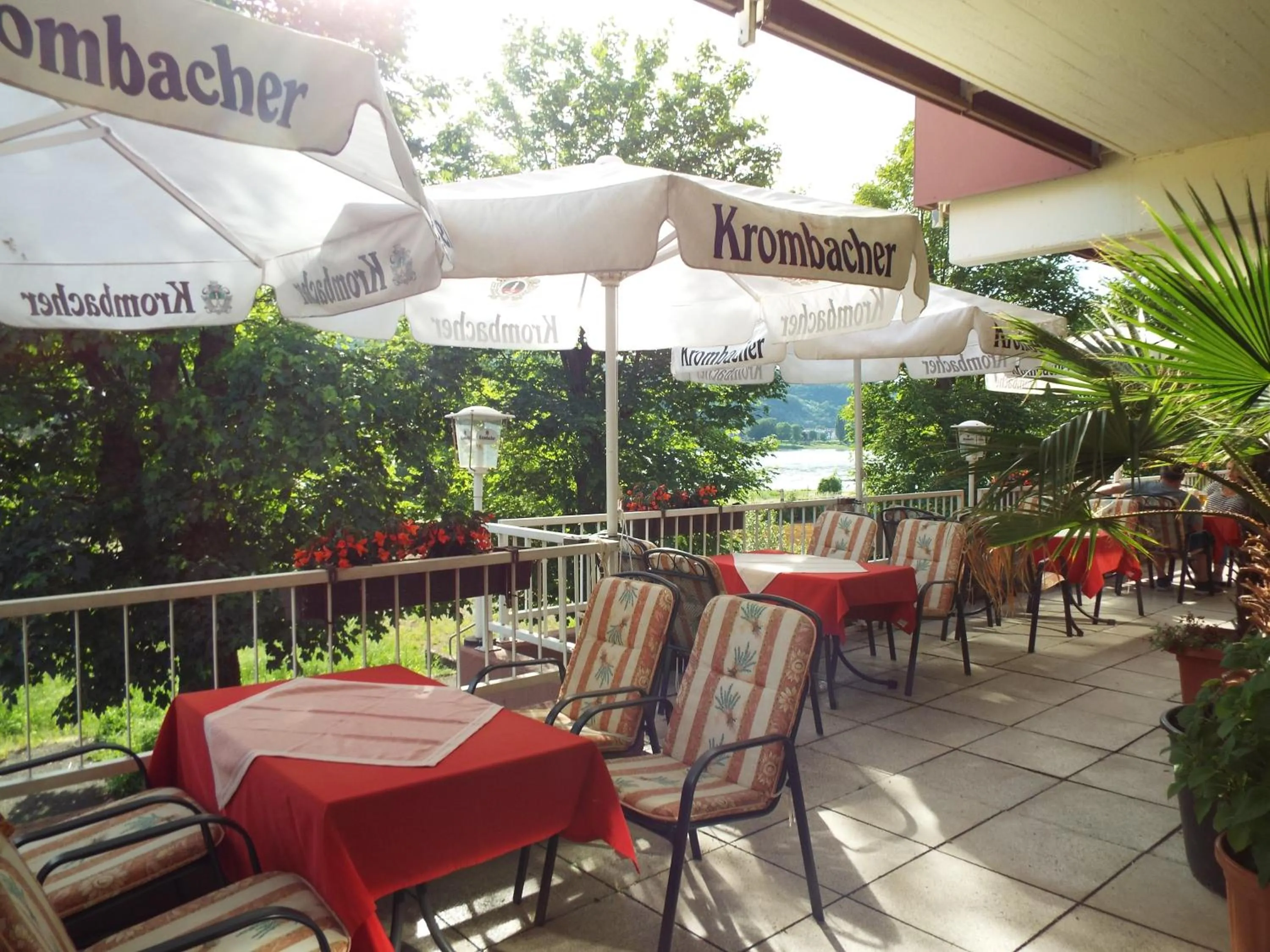 Restaurant/places to eat in Park-Hotel