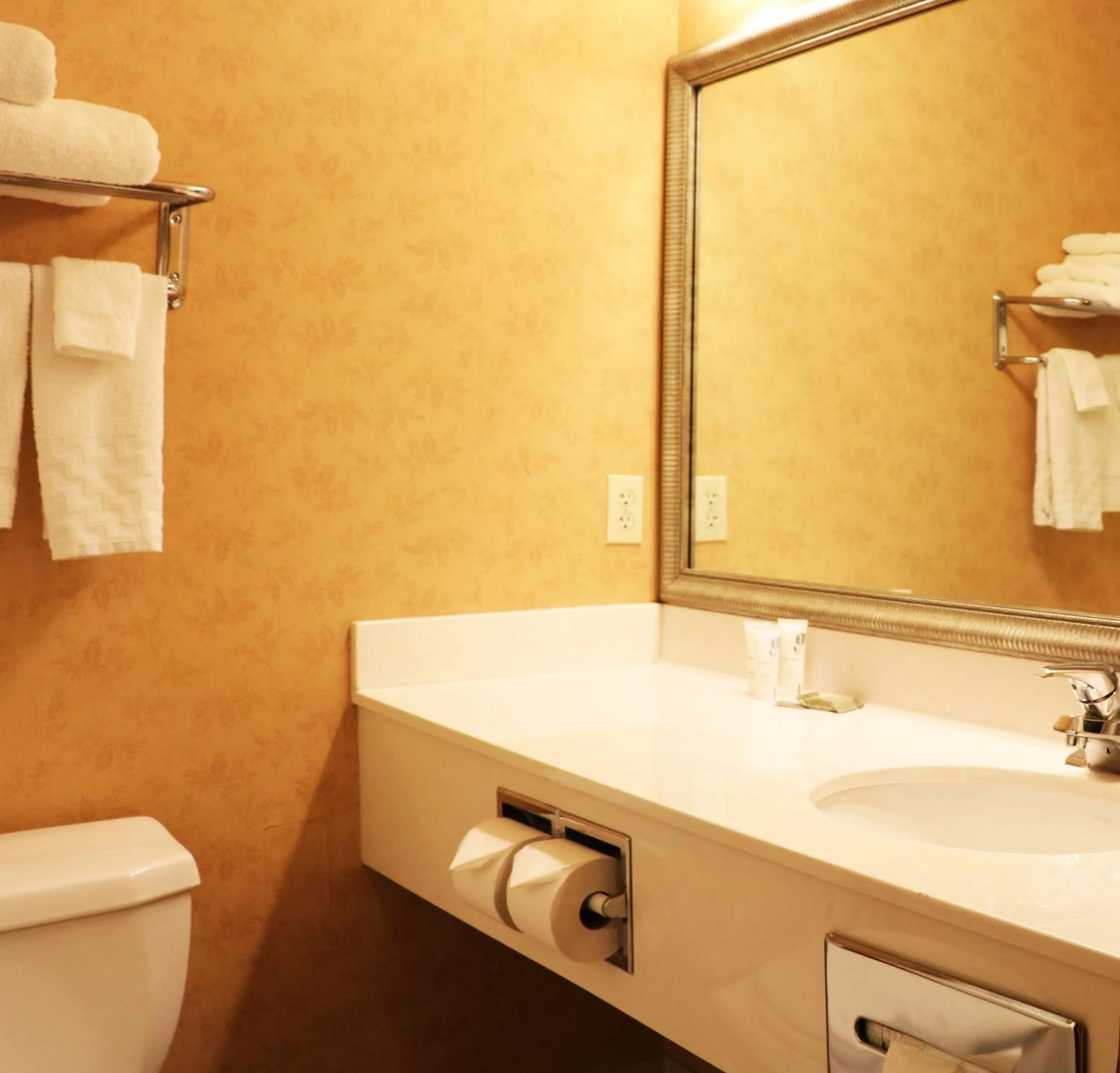 Bathroom in Country Inn & Suites by Radisson, Lincoln North Hotel and Conference Center, NE