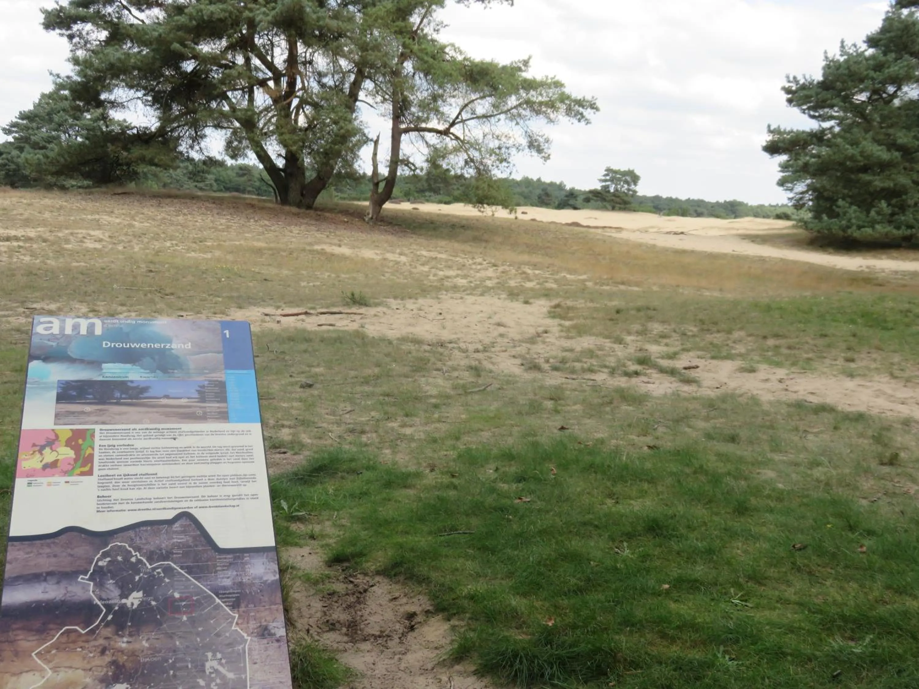 Natural landscape in Drouwenerzand Hotel