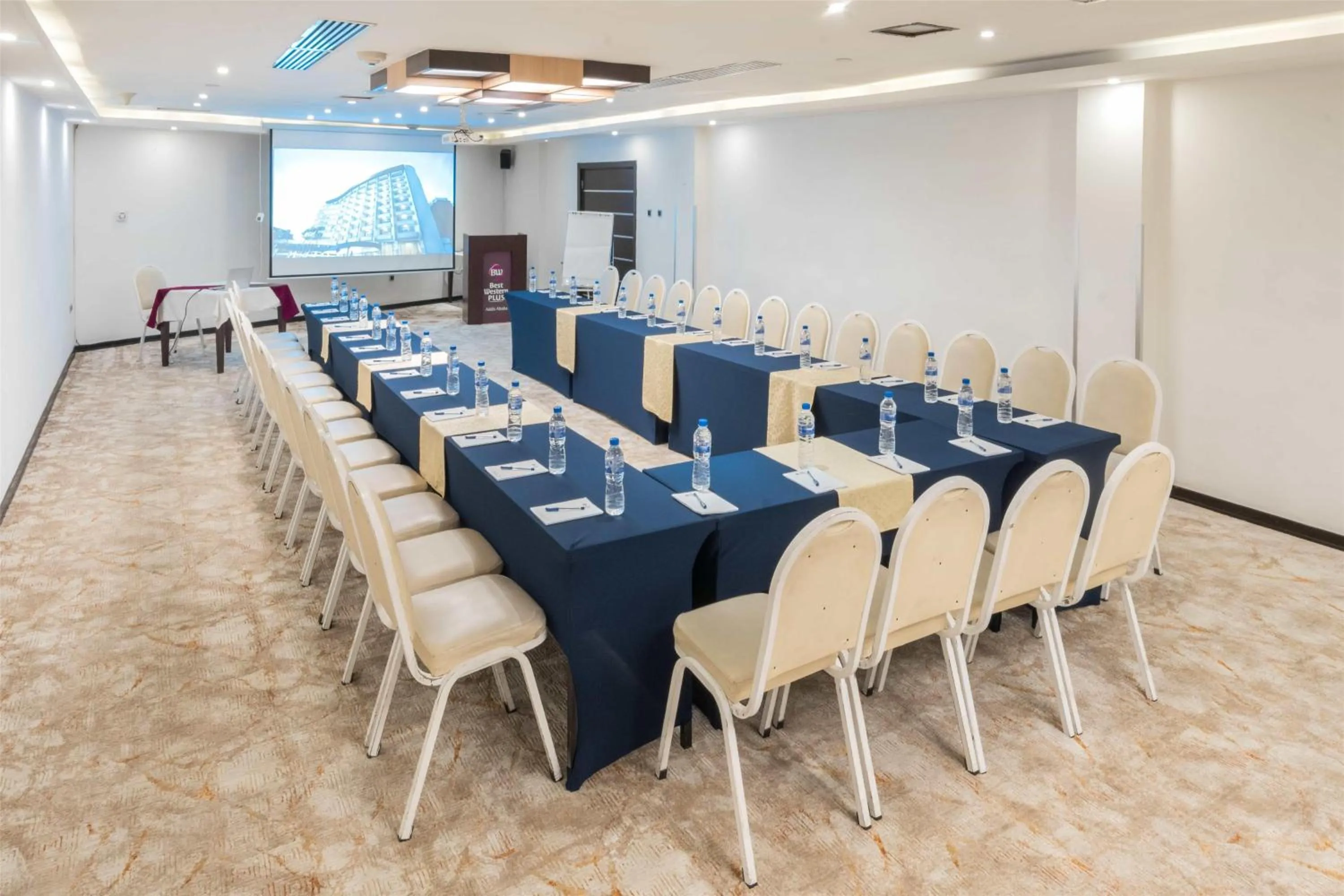 Meeting/conference room in Best Western Plus Addis Ababa