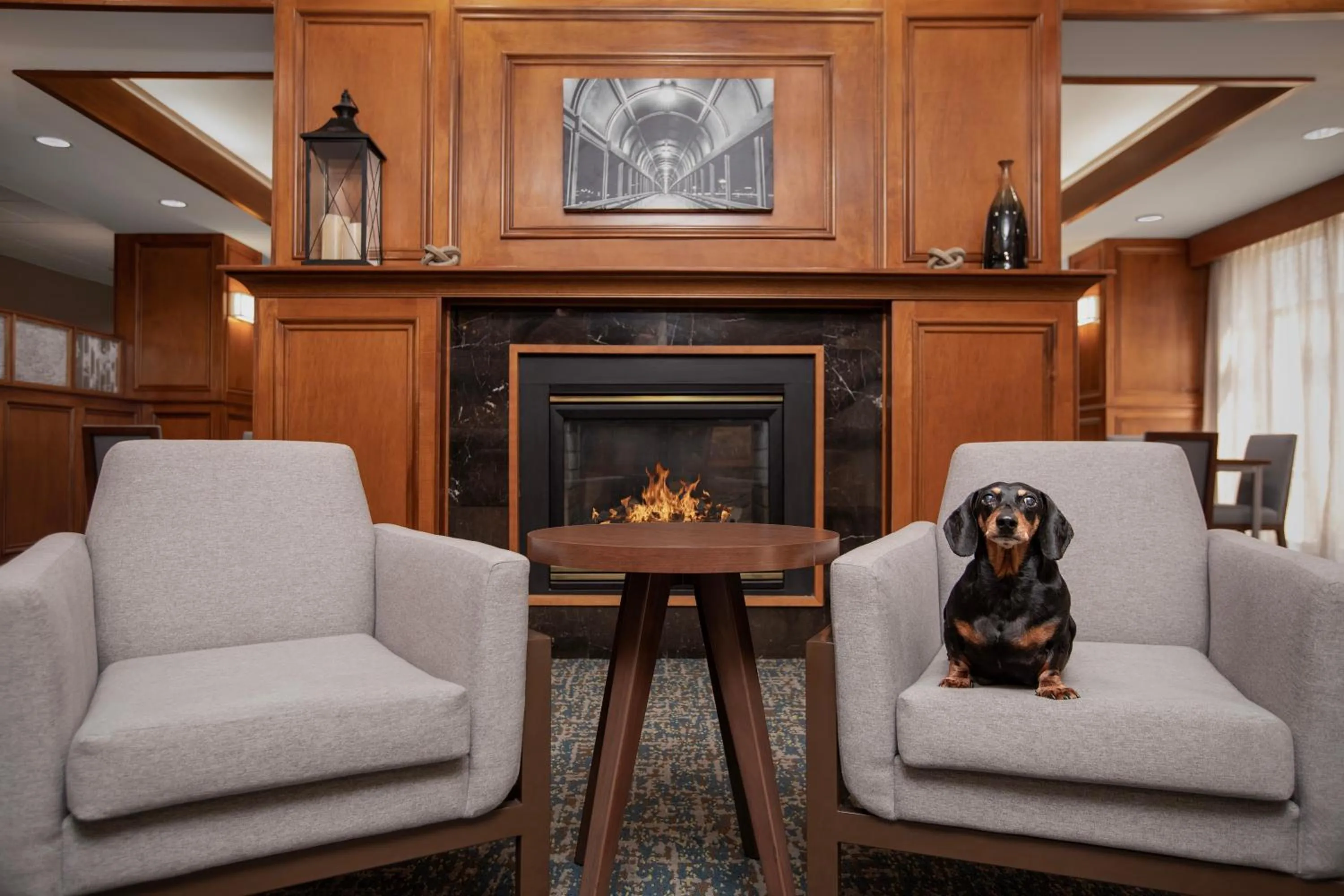 pet friendly in Hampton Inn Waterloo