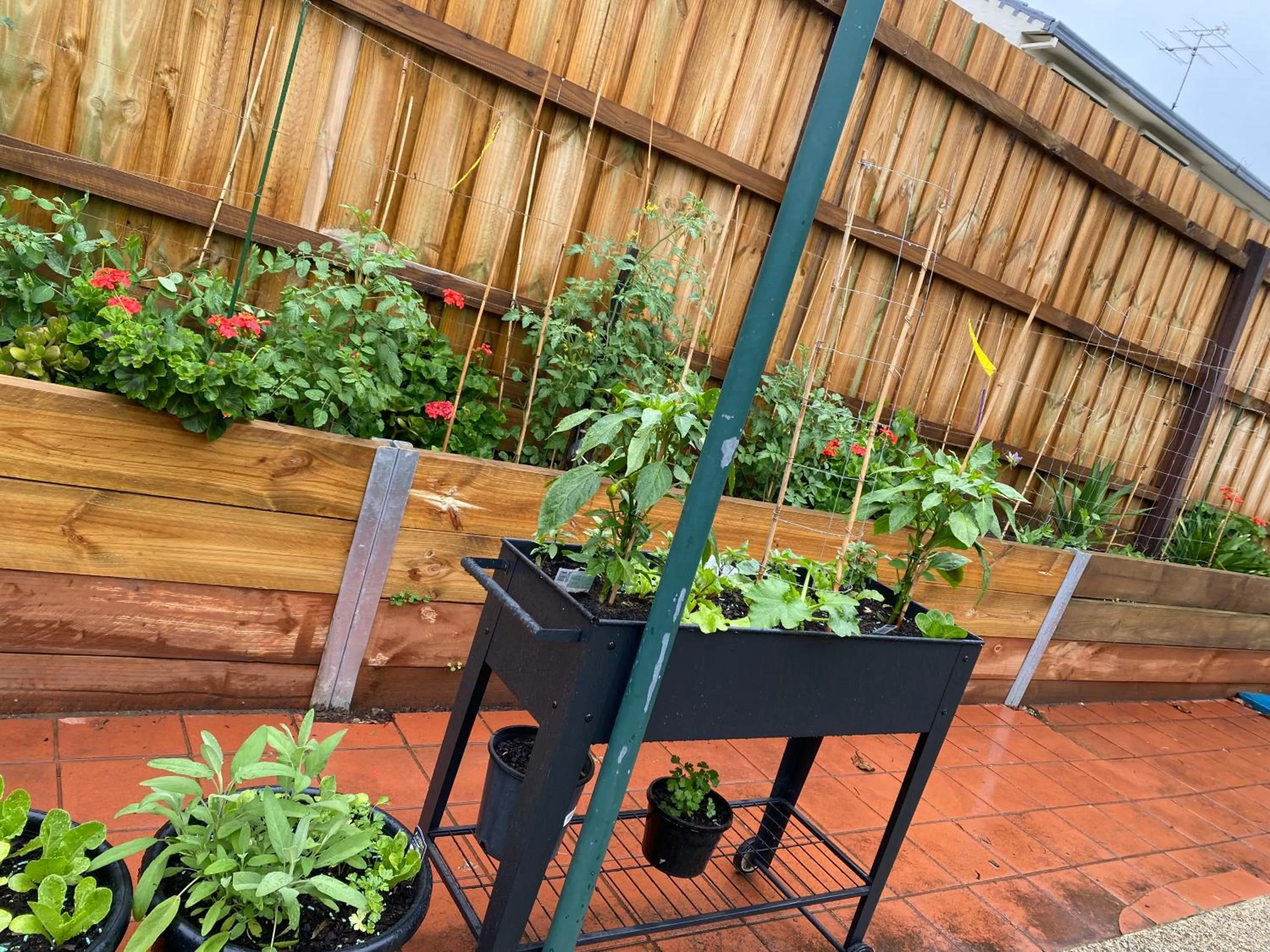 Garden in ADA Homestay