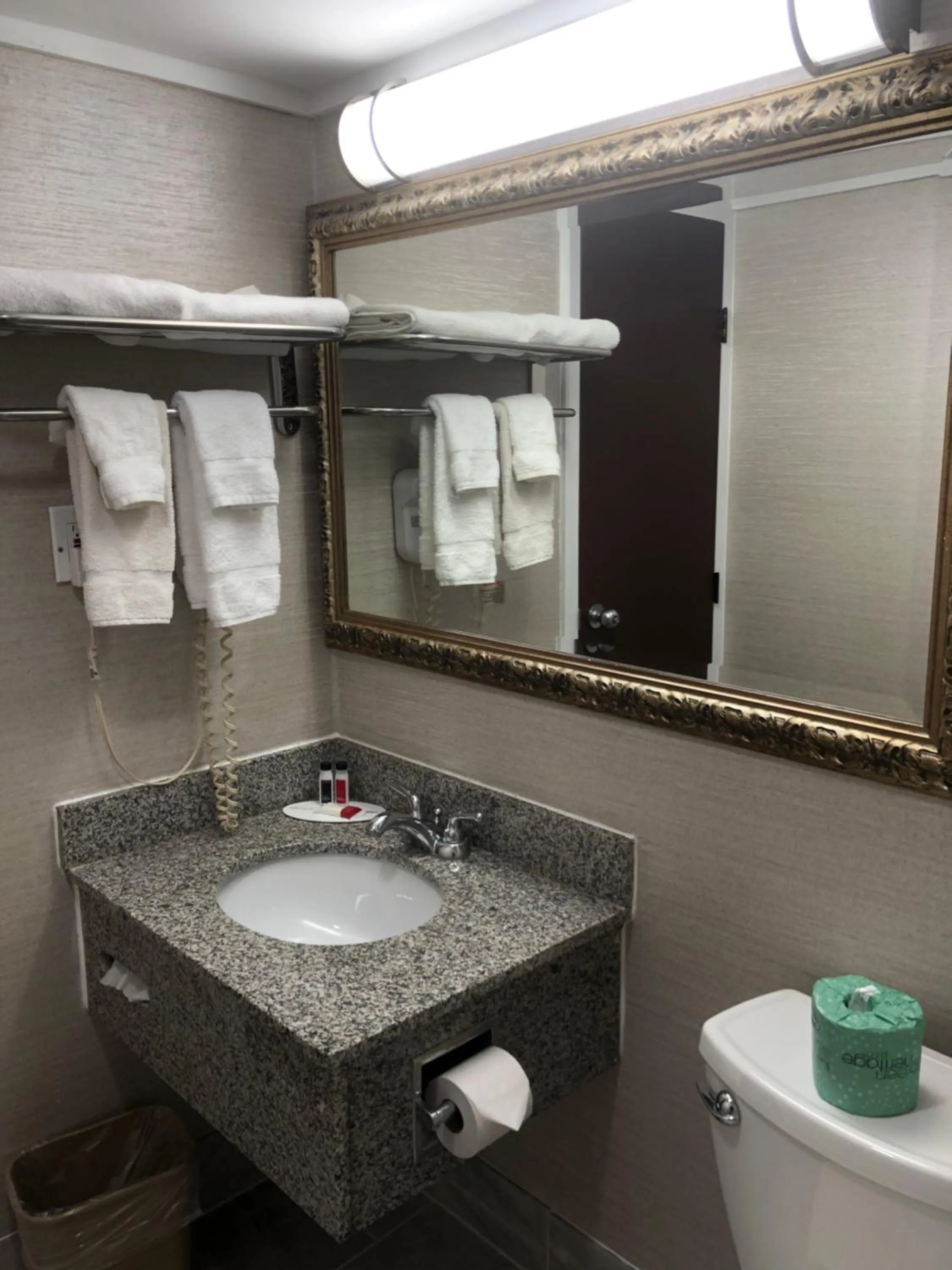 Bathroom in Quality Inn