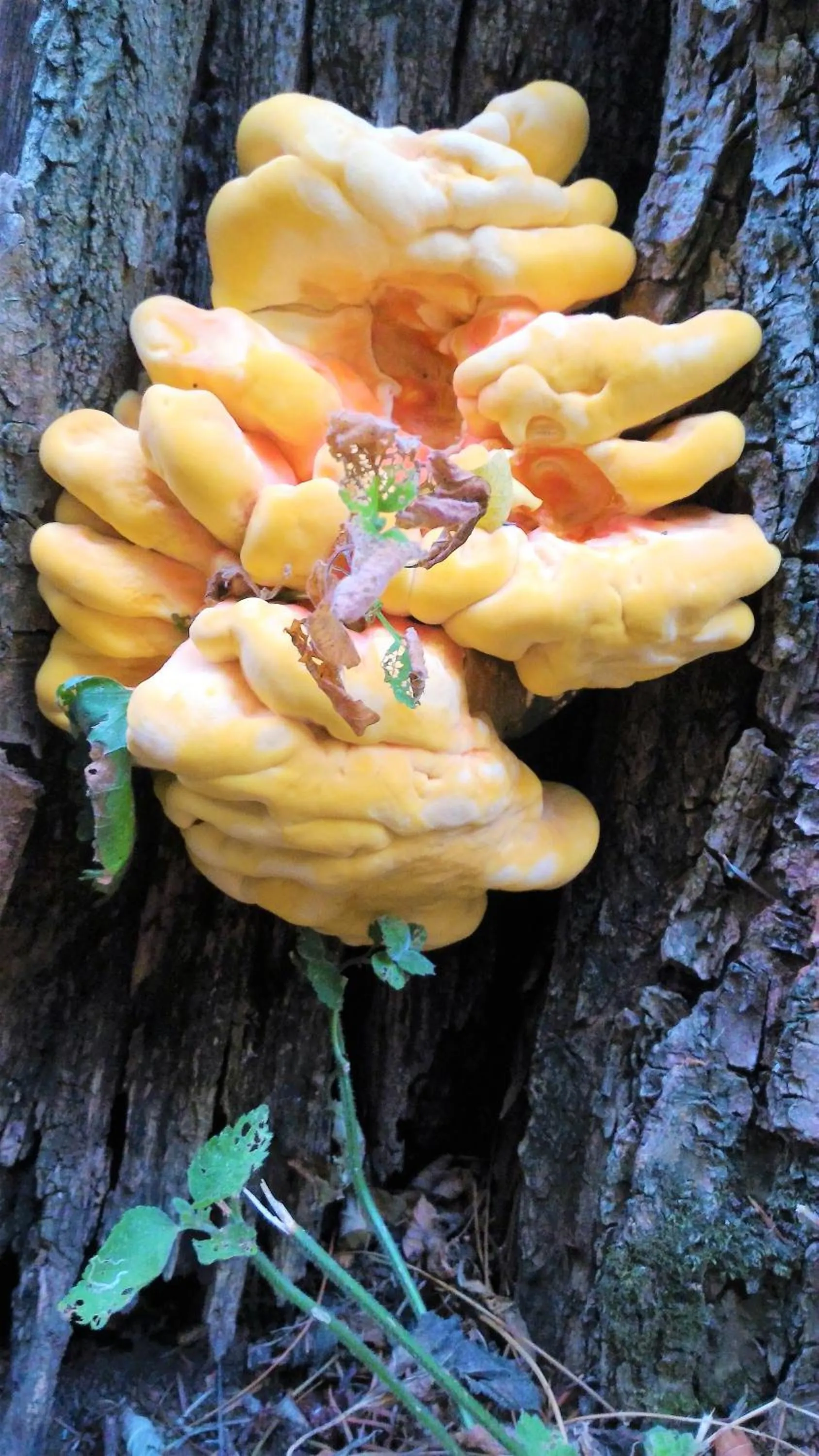 Hiking in Casa Isabela luxury rooms