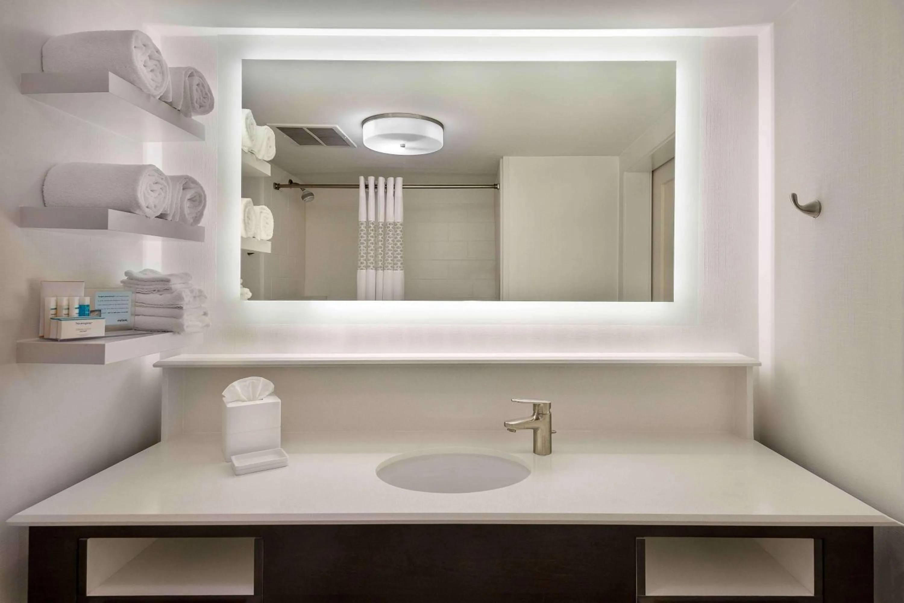 Bathroom in Hampton Inn & Suites Chapel Hill/Durham