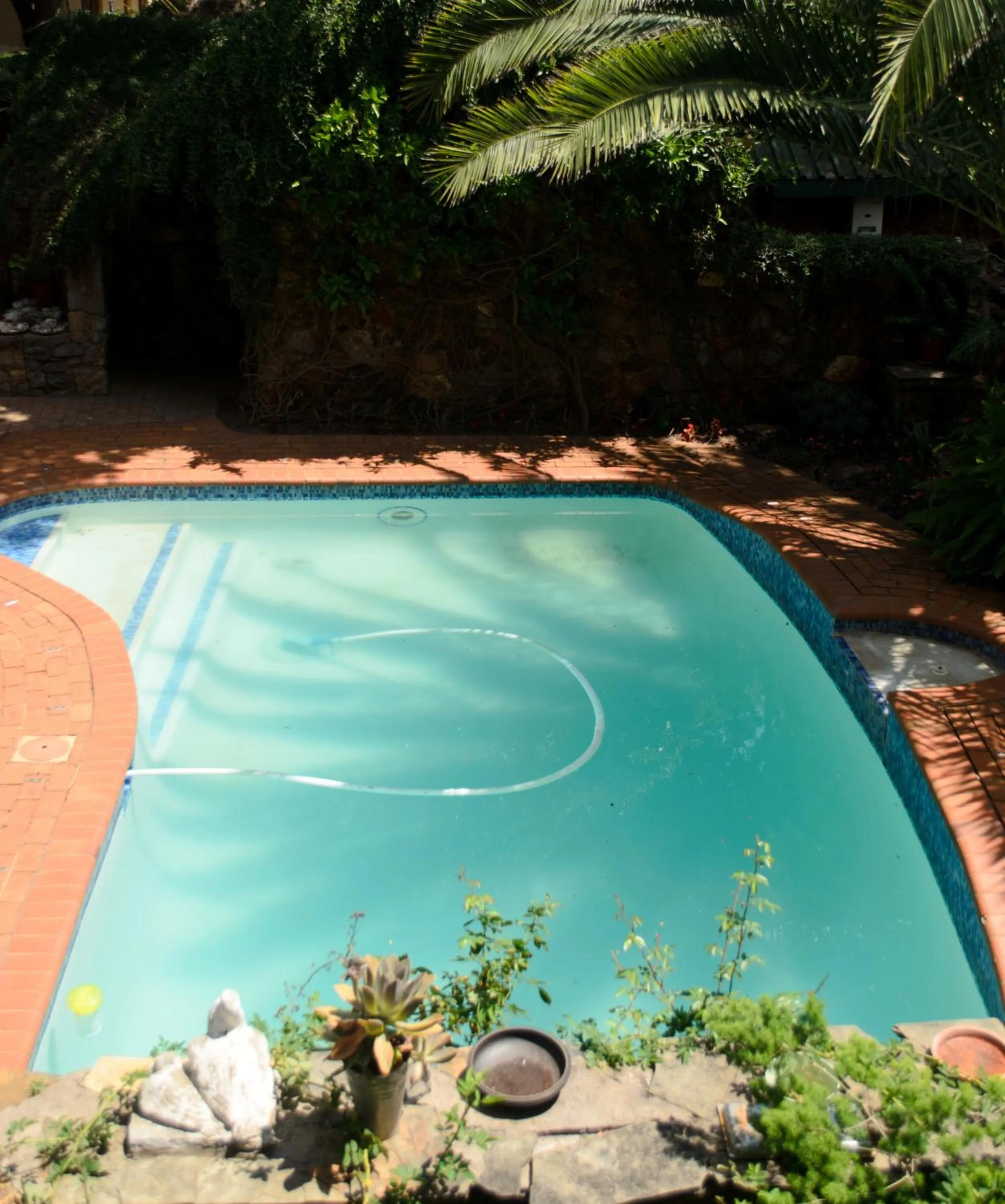 Swimming pool in Irene B&B
