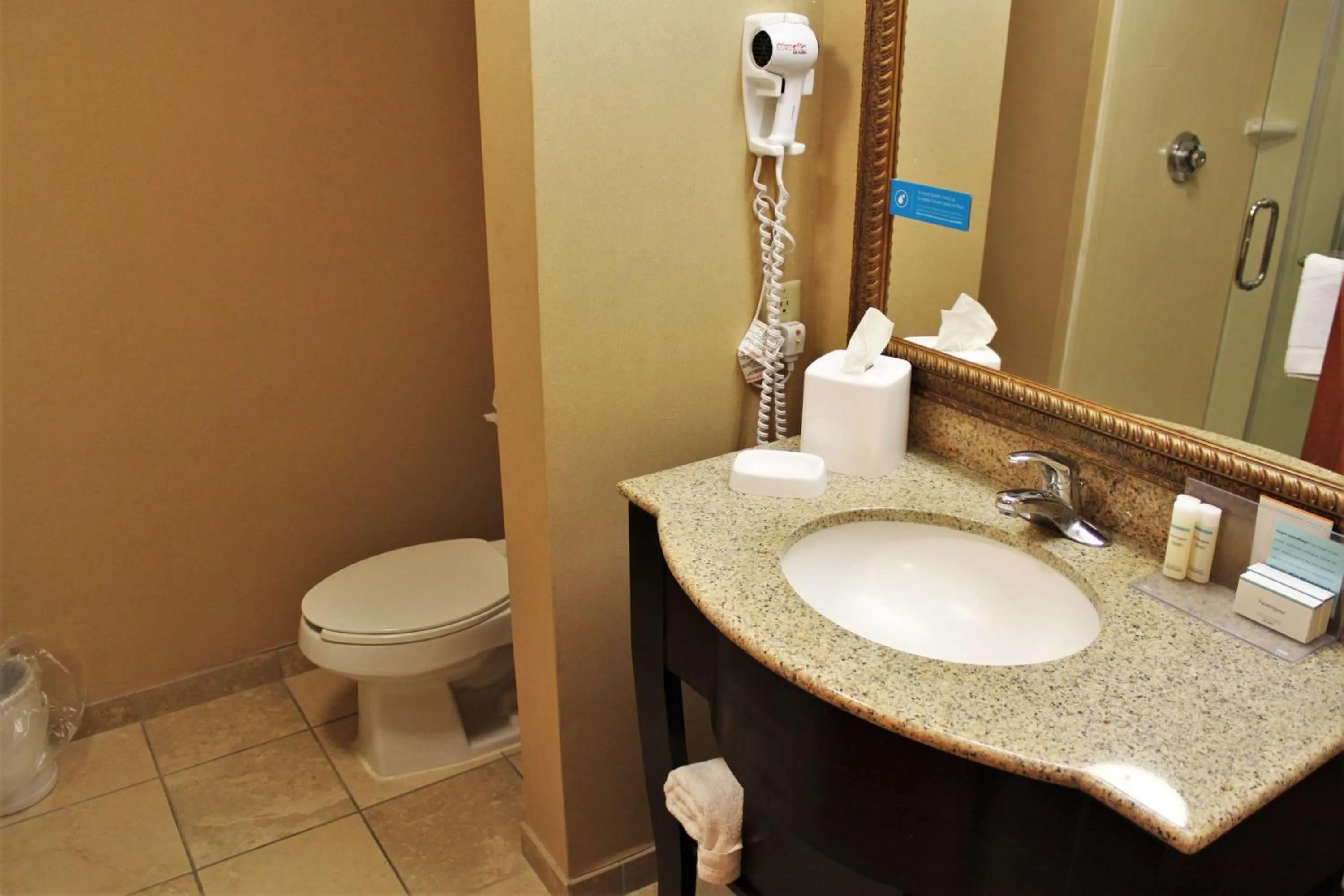 Bathroom in Hampton Inn Americus