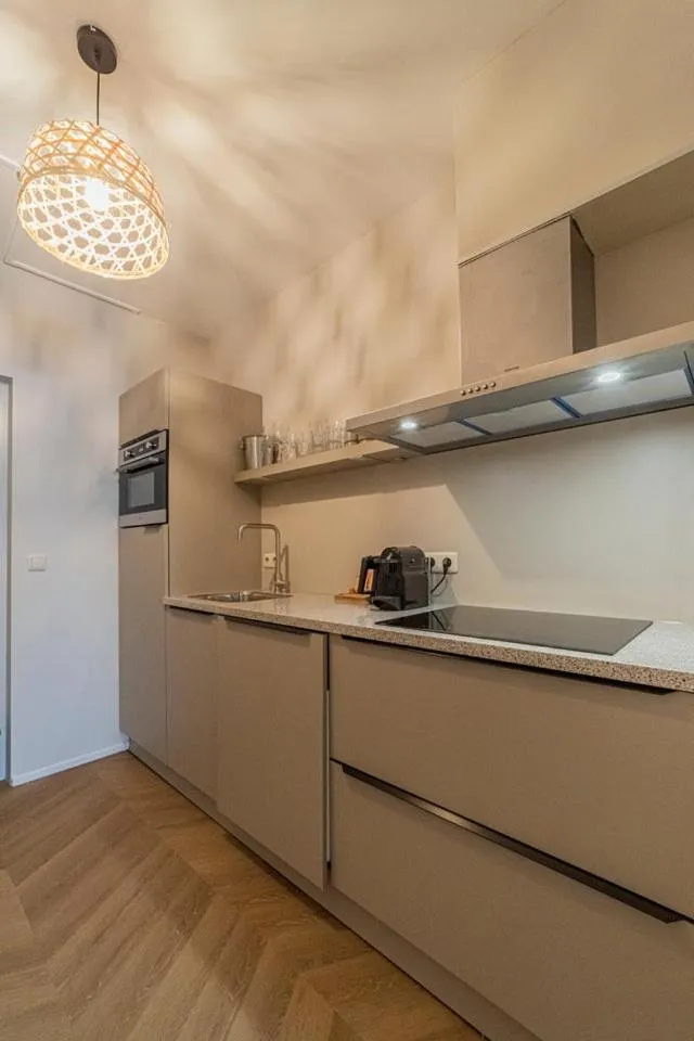 Kitchen or kitchenette in Strandstudio's Camperduin