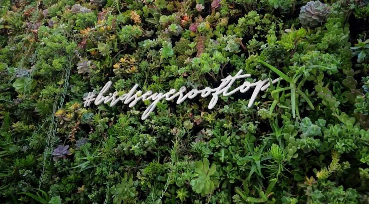 Restaurant/places to eat in Cormorant Boutique Hotel