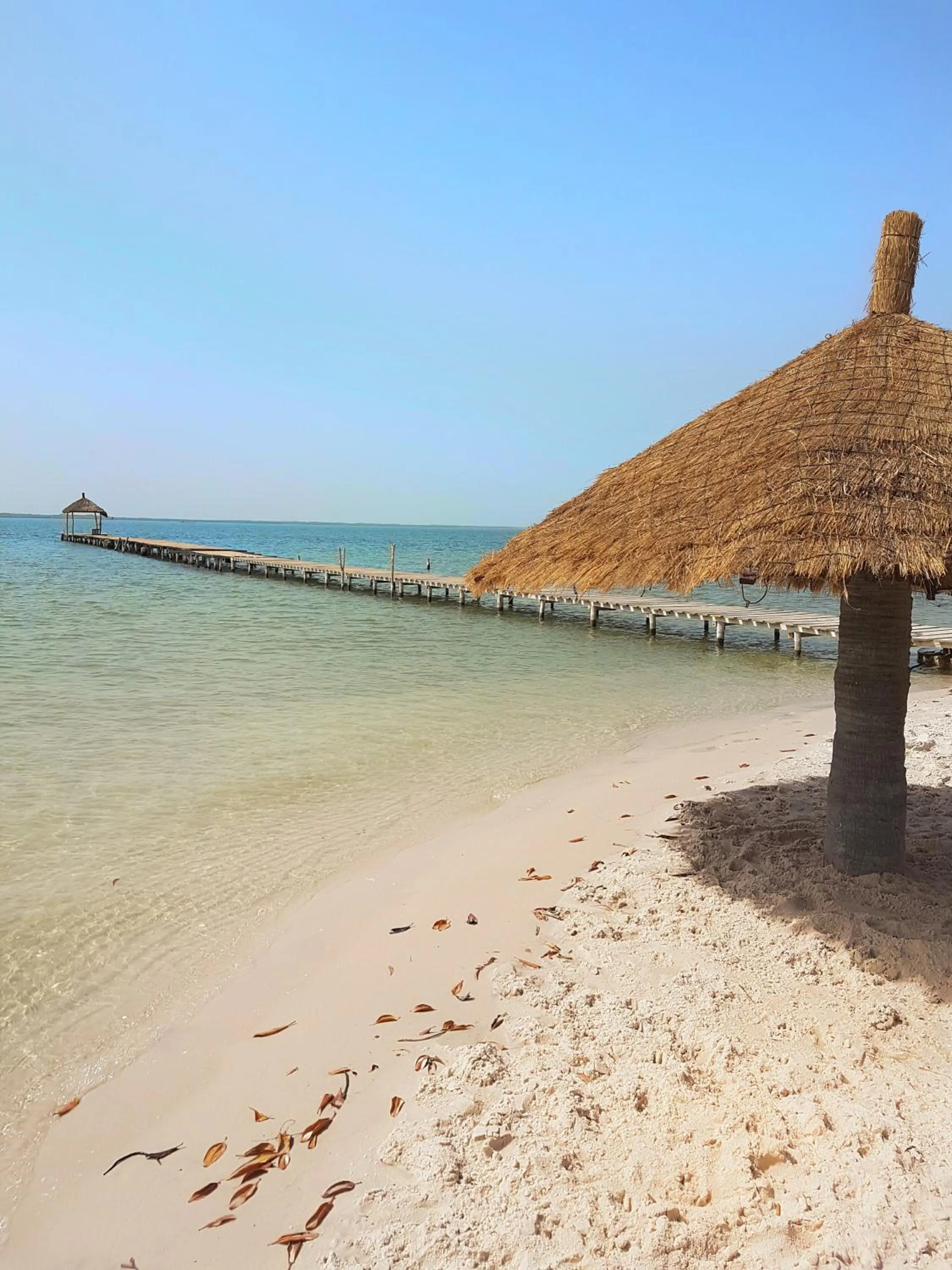 Patio in Campement Hakuna Lodge
