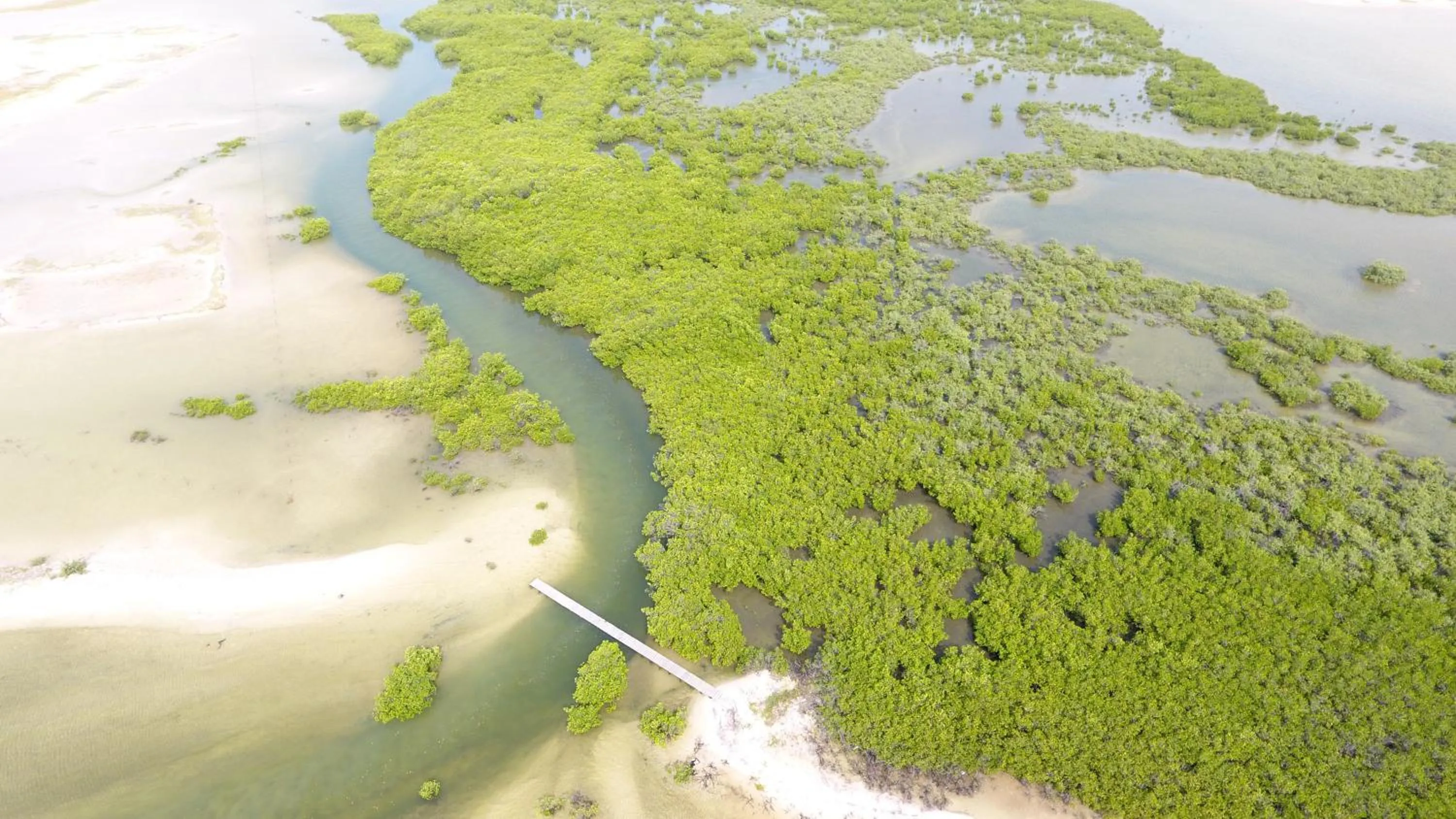Natural landscape in Campement Hakuna Lodge