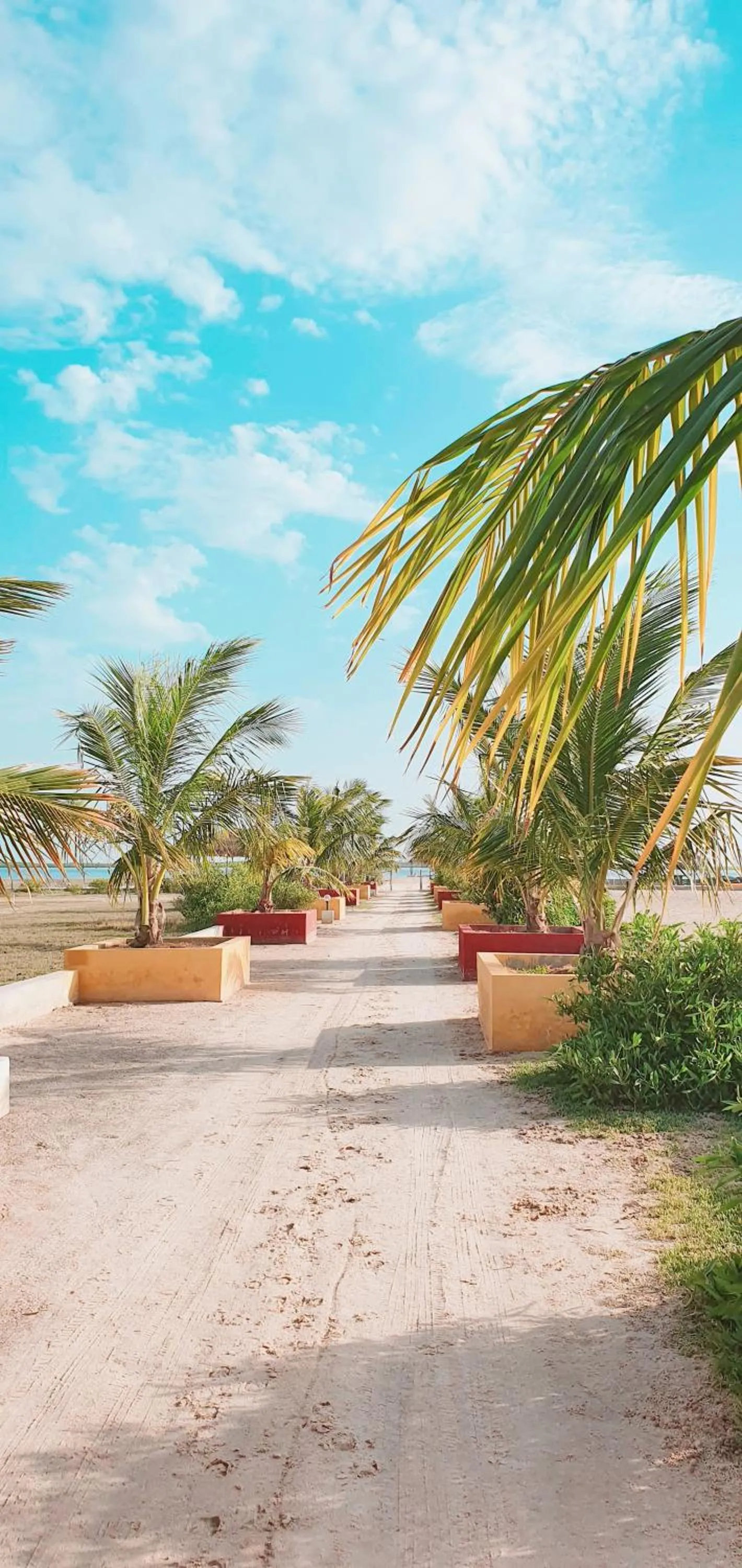 Patio in Campement Hakuna Lodge