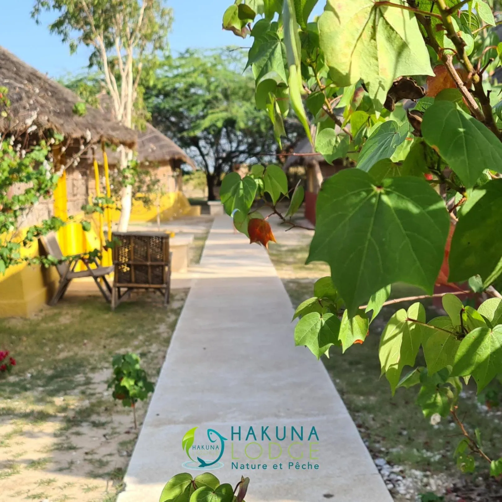 Garden in Campement Hakuna Lodge