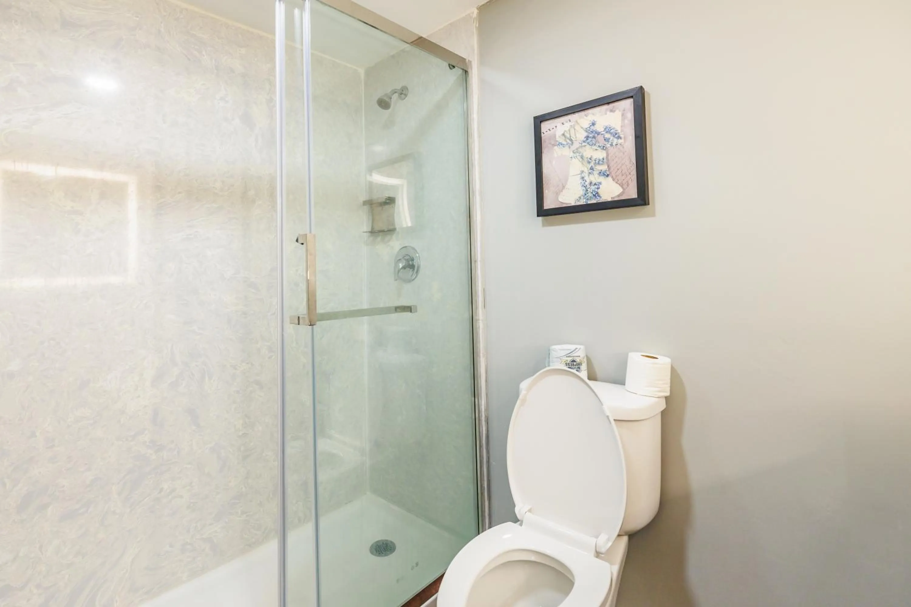 Shower in AmericInn by Wyndham Omaha Near Zoo