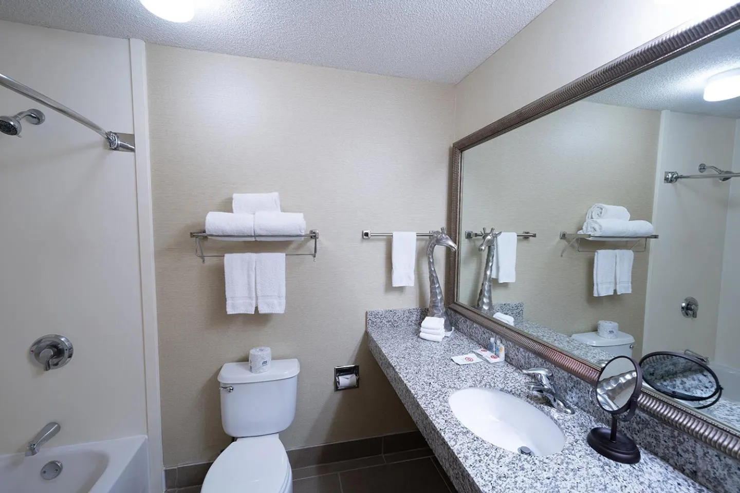 Other in AmericInn by Wyndham Omaha Near Zoo