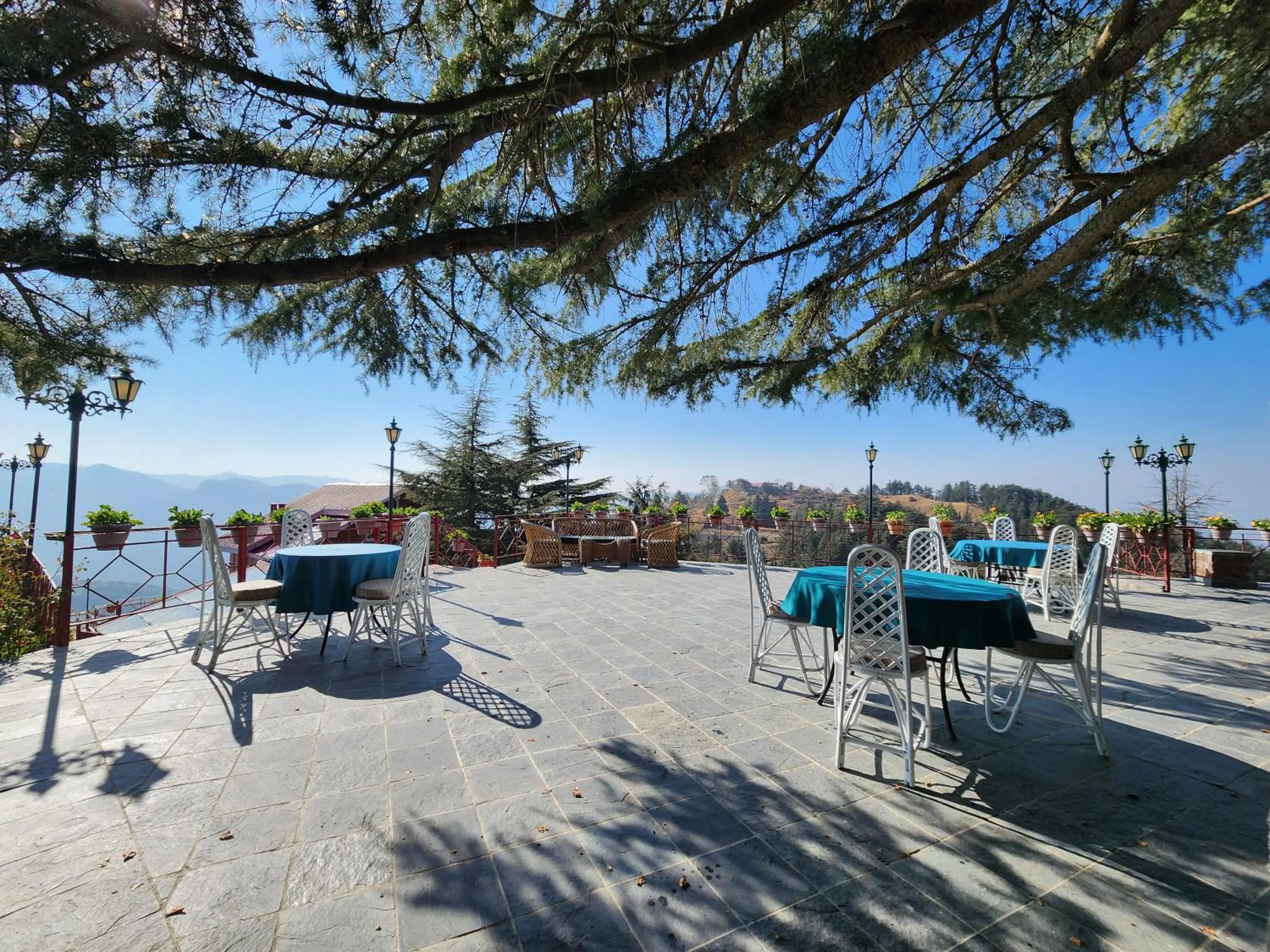 The Chalets Naldehra