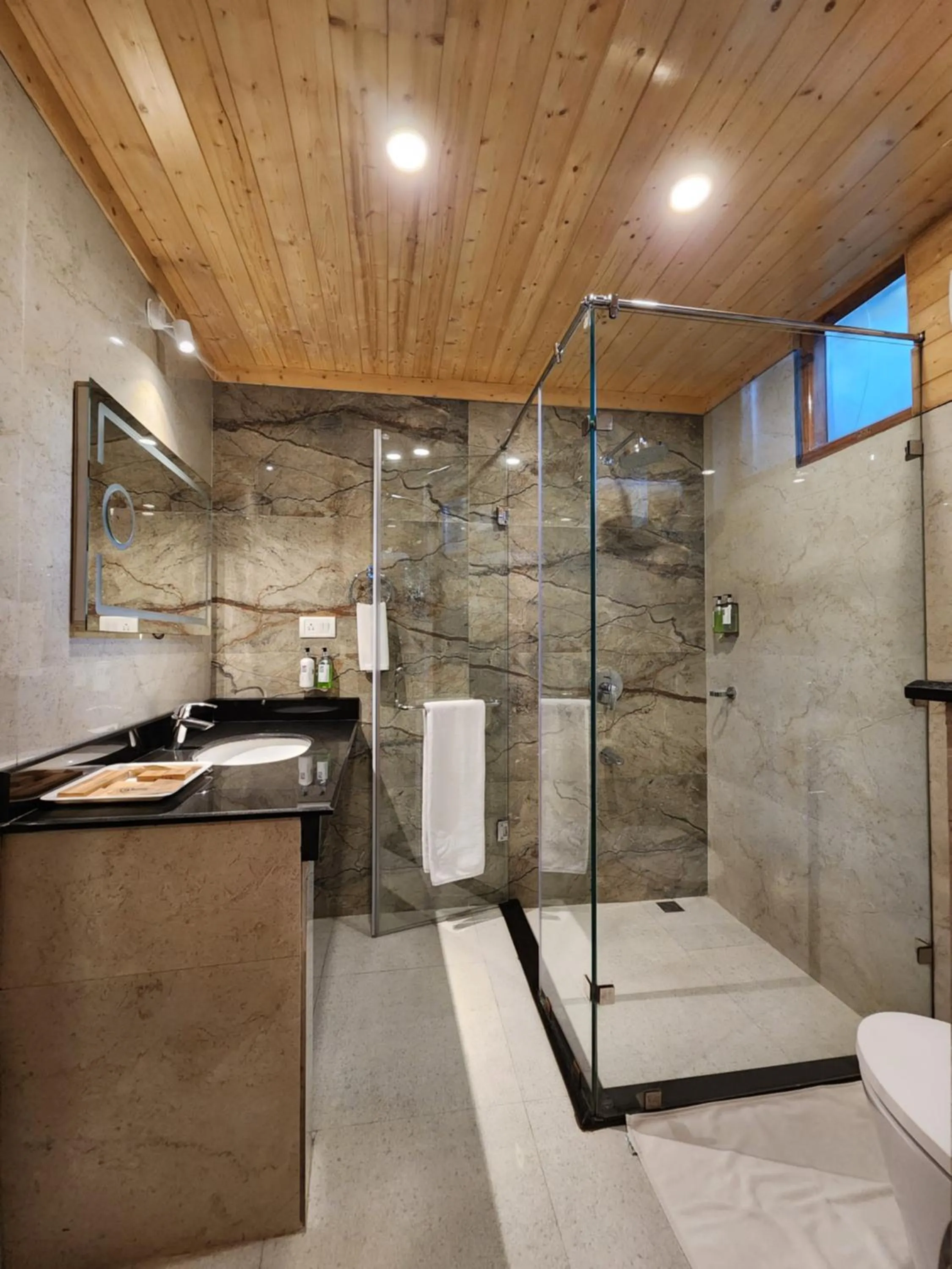 Bathroom in The Chalets Naldehra