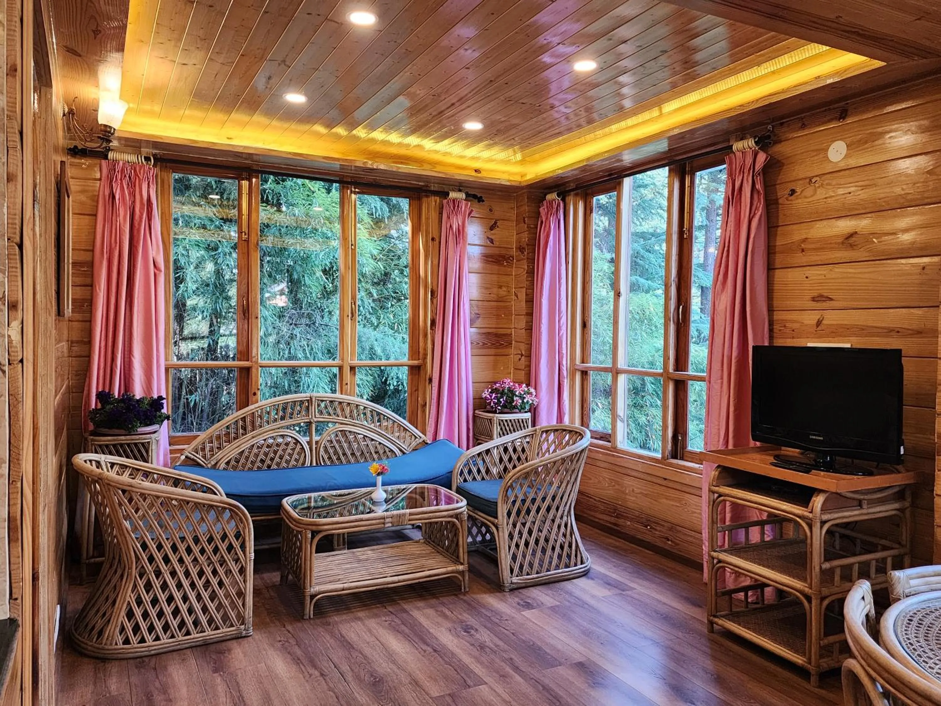 TV and multimedia in The Chalets Naldehra