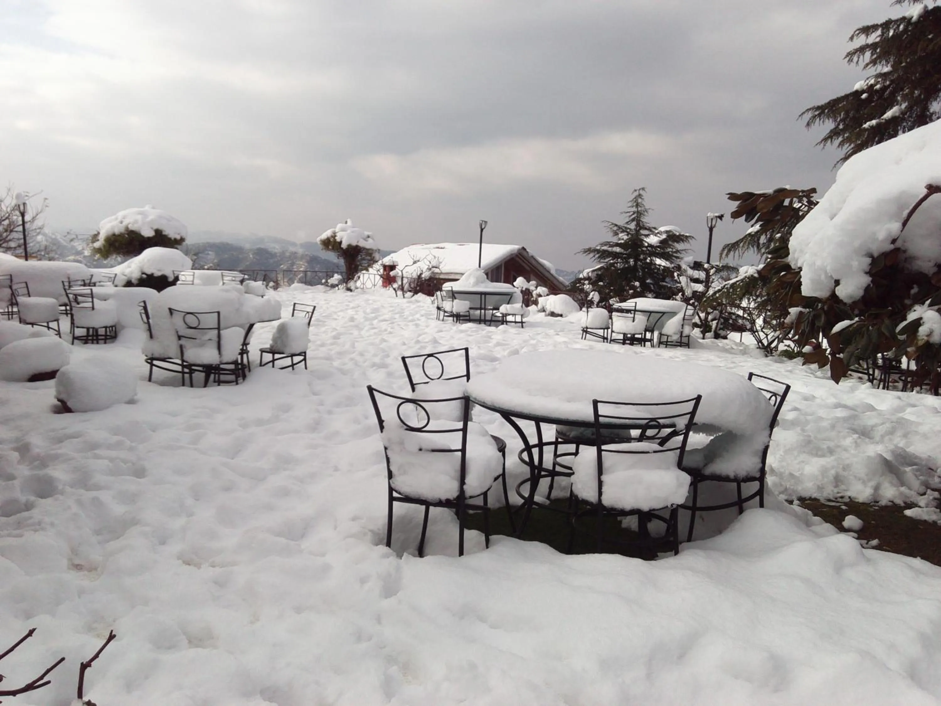 Natural landscape in The Chalets Naldehra